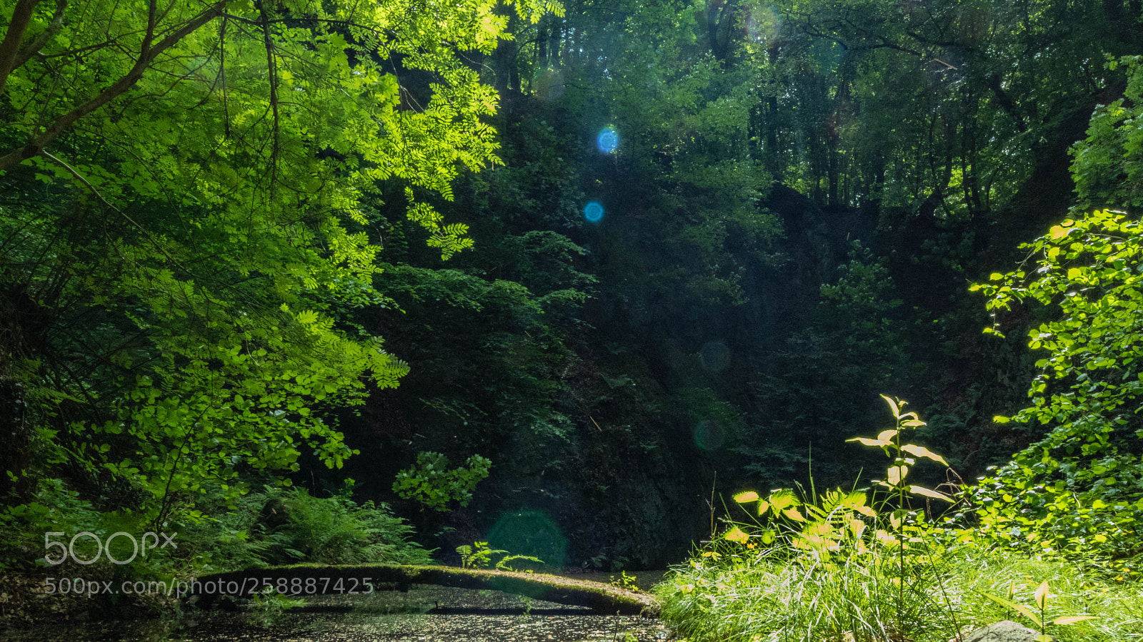 Canon EOS 80D sample photo. Connecting photography