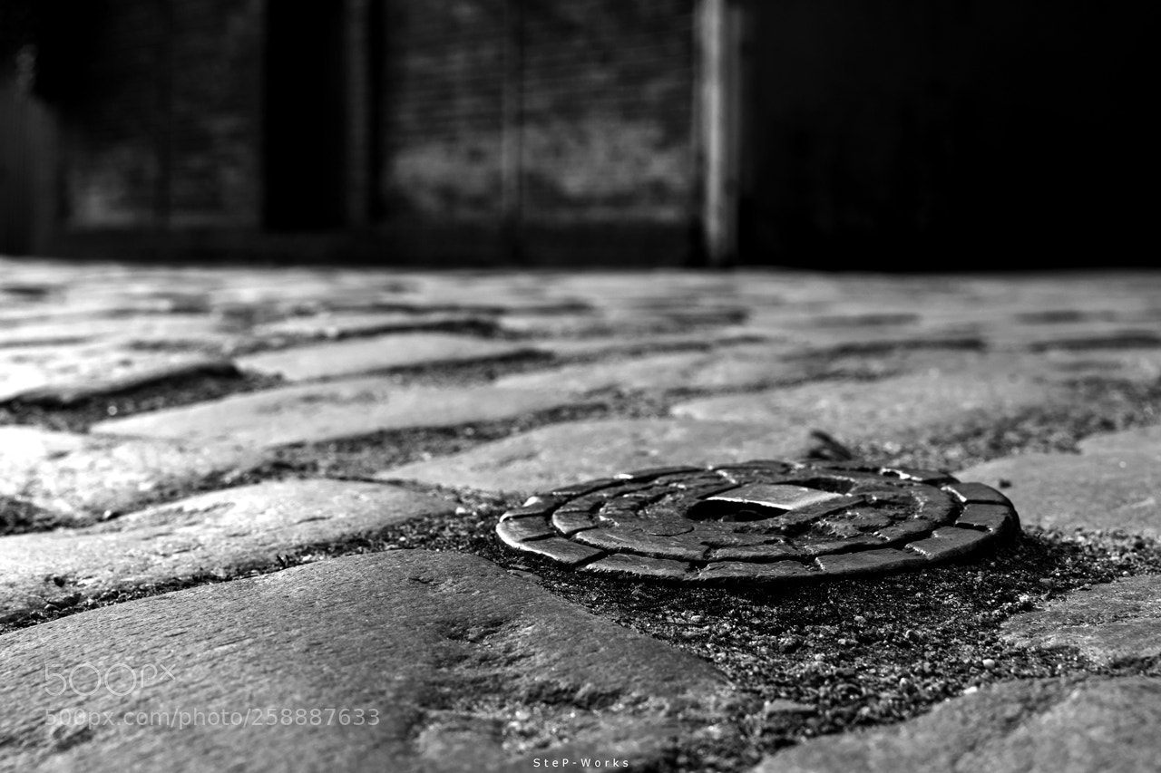 Nikon D500 sample photo. Locked photography