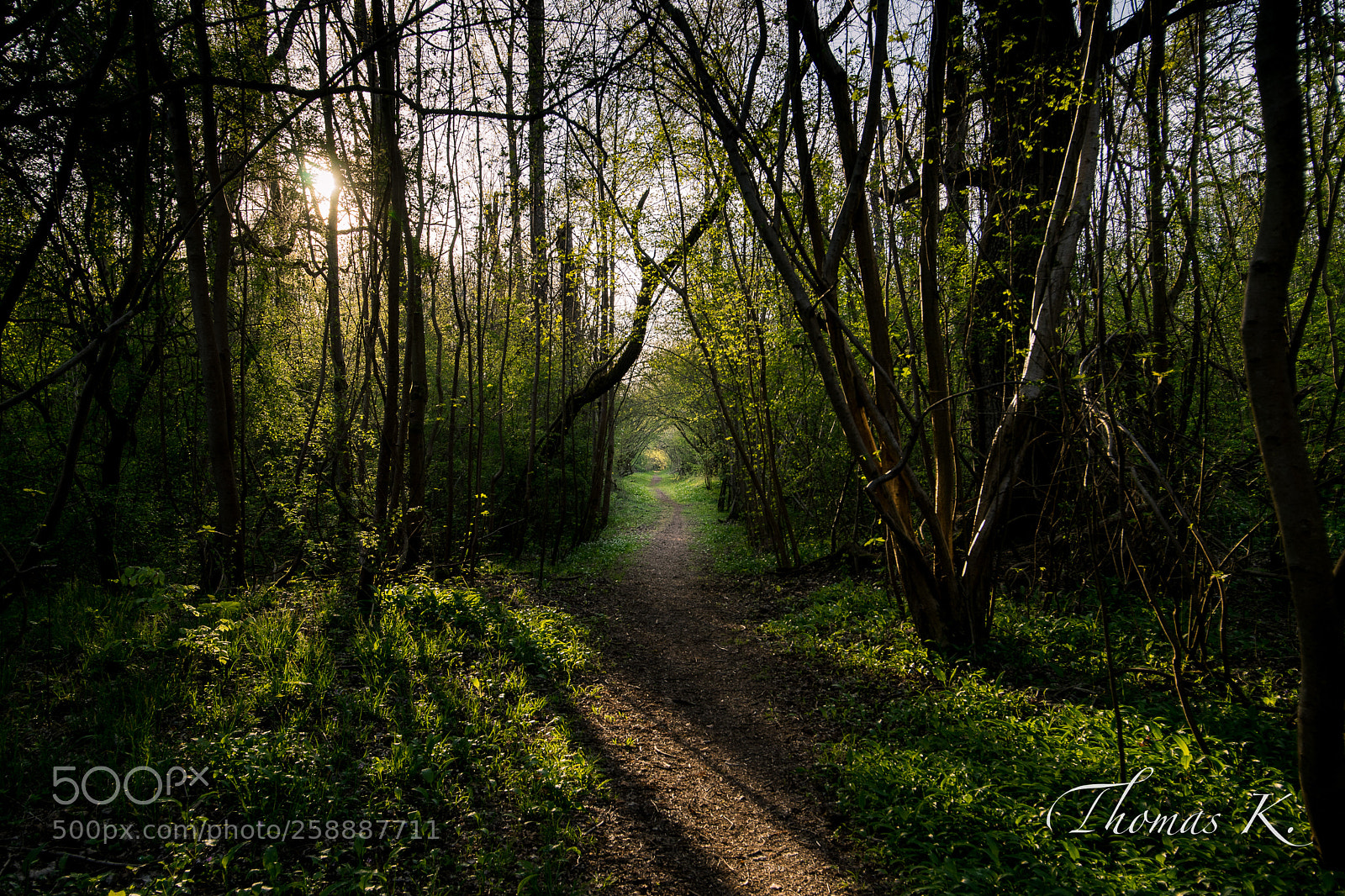Sony a7 sample photo. Evening light in the photography