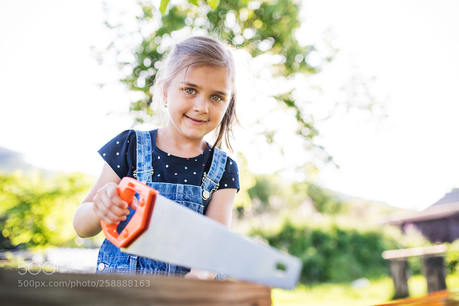 Nikon D5 sample photo. A small girl with photography