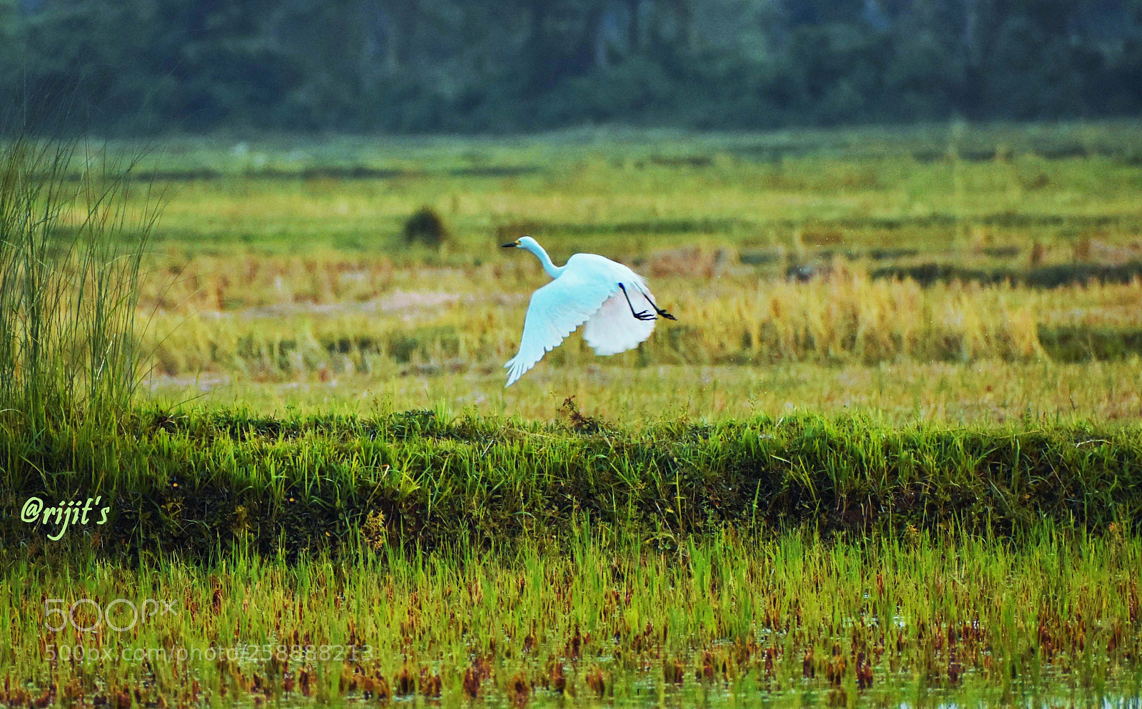 Nikon D3400 sample photo. Take off from the photography