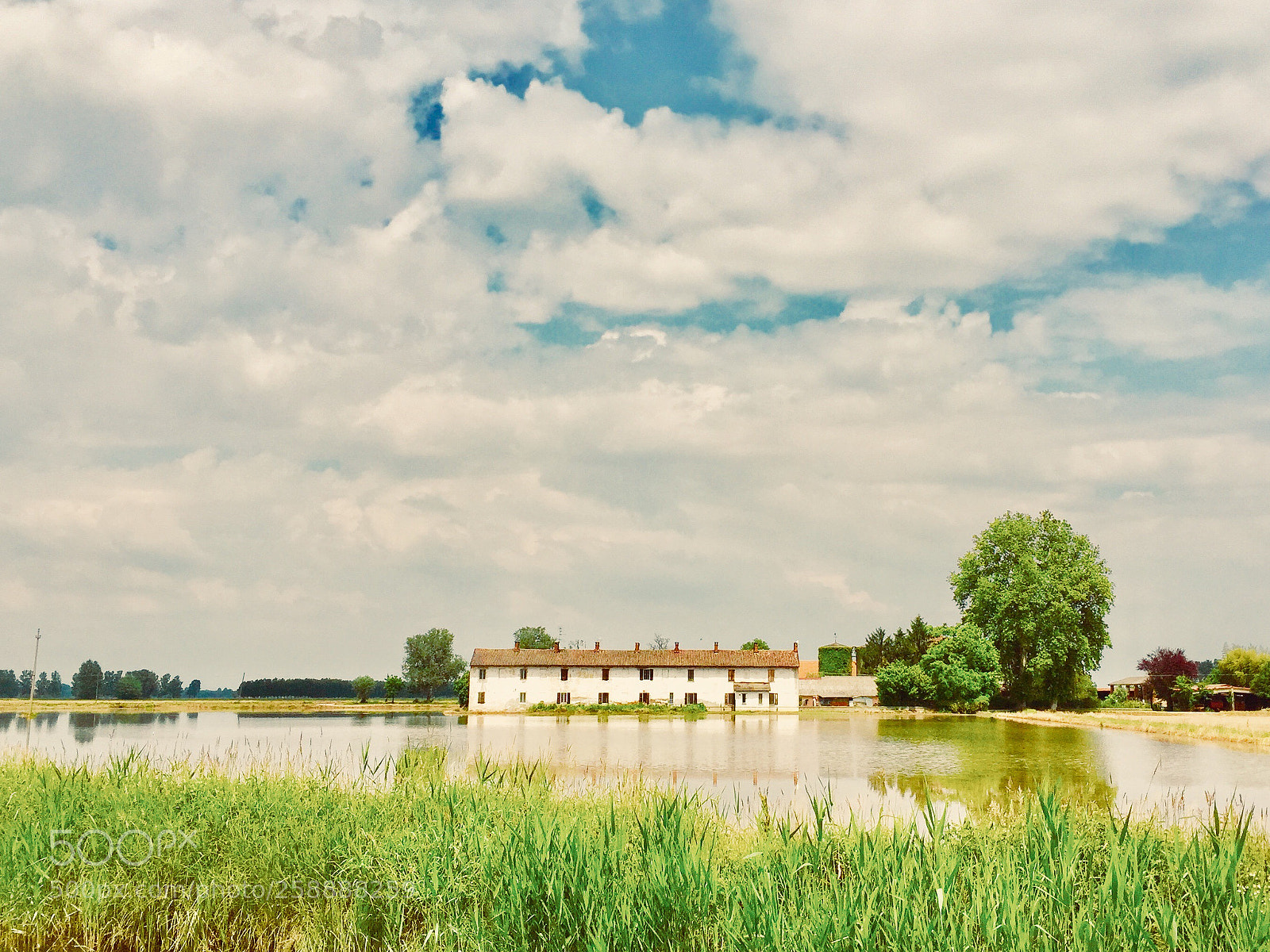 Apple iPhone 6 Plus sample photo. Cascine lombarde. photography