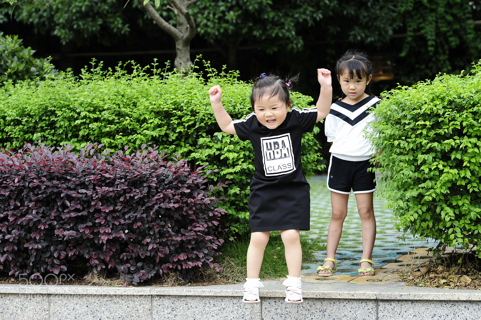 Nikon D700 sample photo. Untitled photography