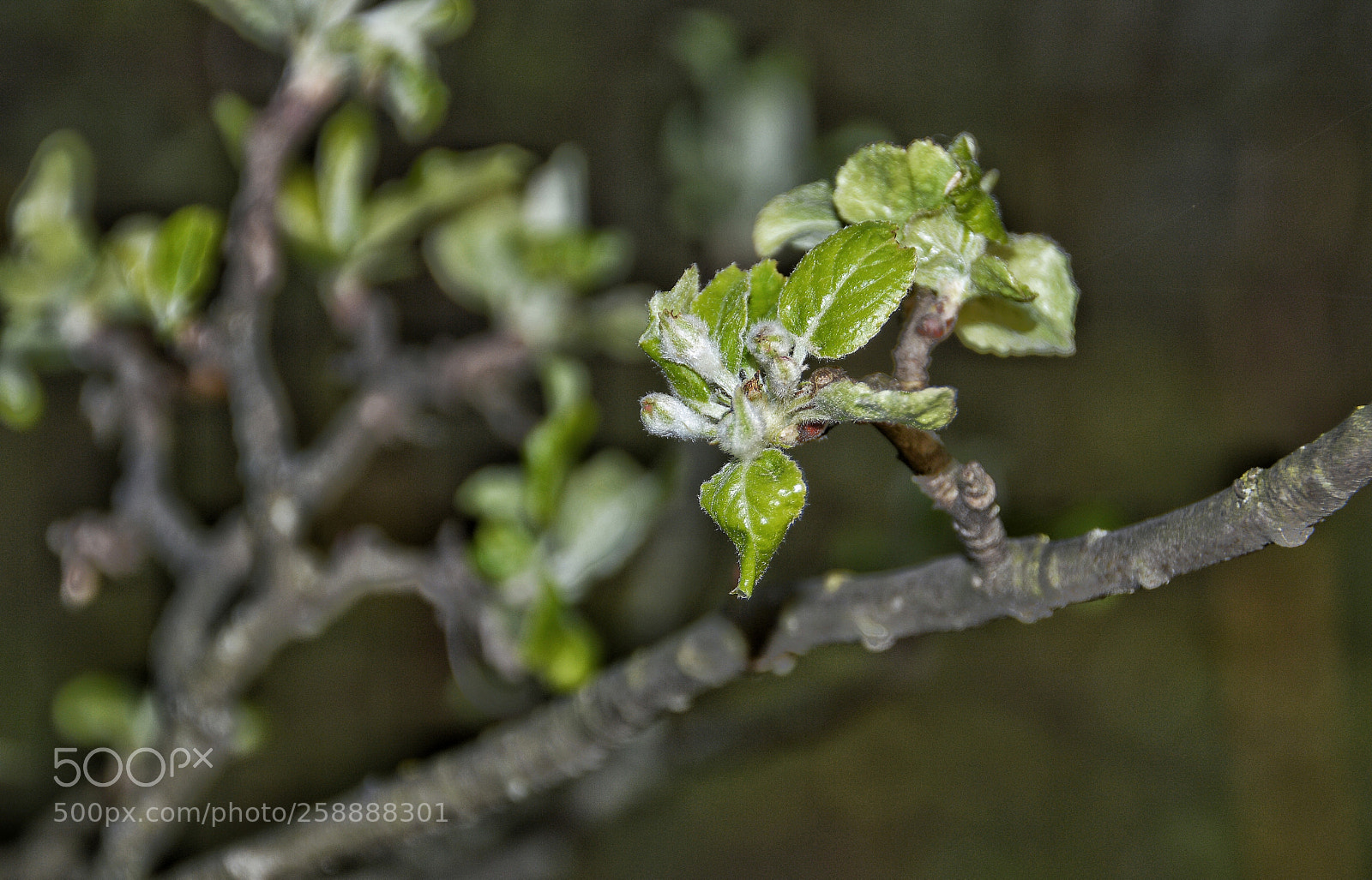 Nikon D3200 sample photo. Untitled photography