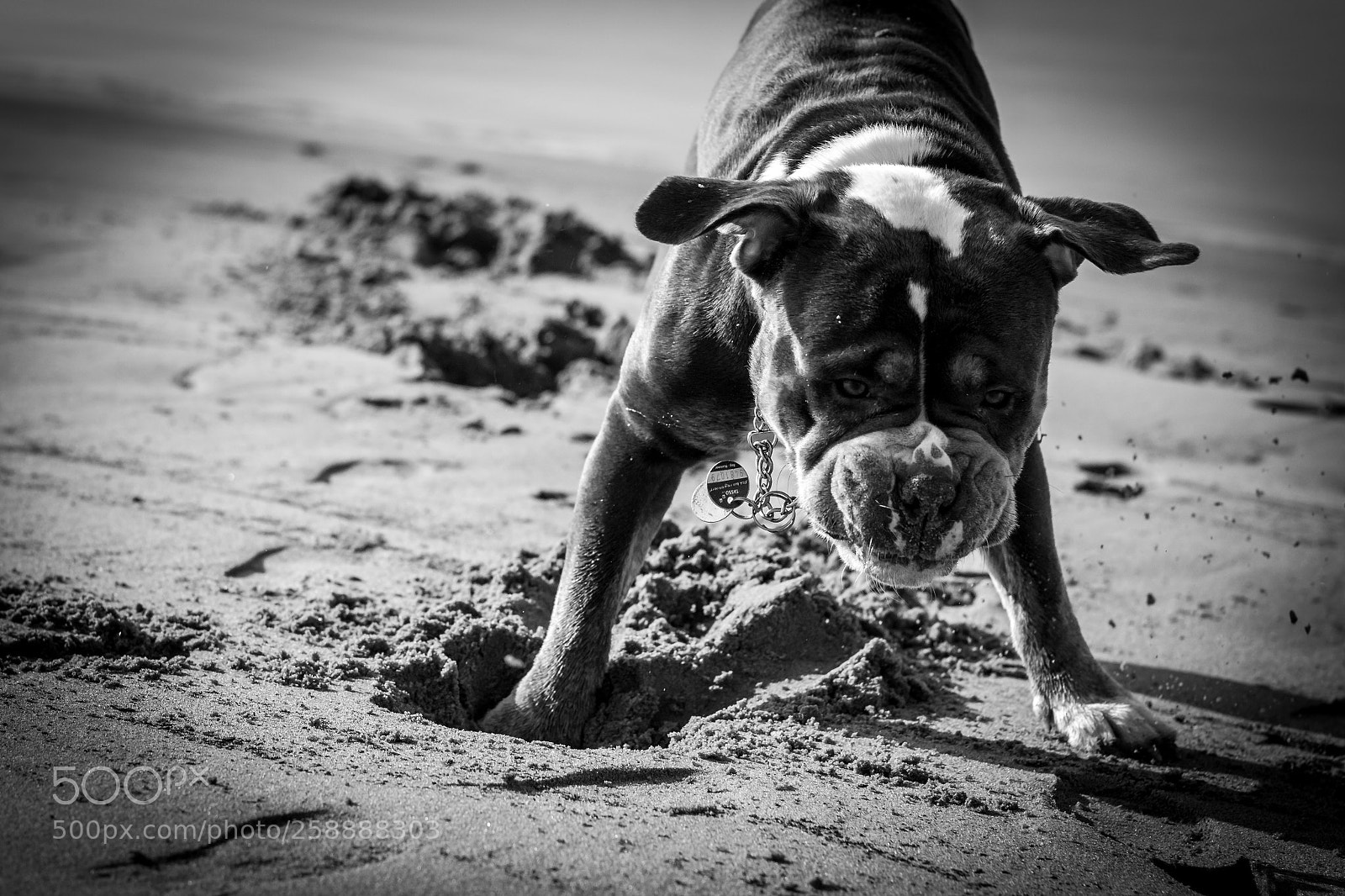 Nikon D3100 sample photo. Having fun photography
