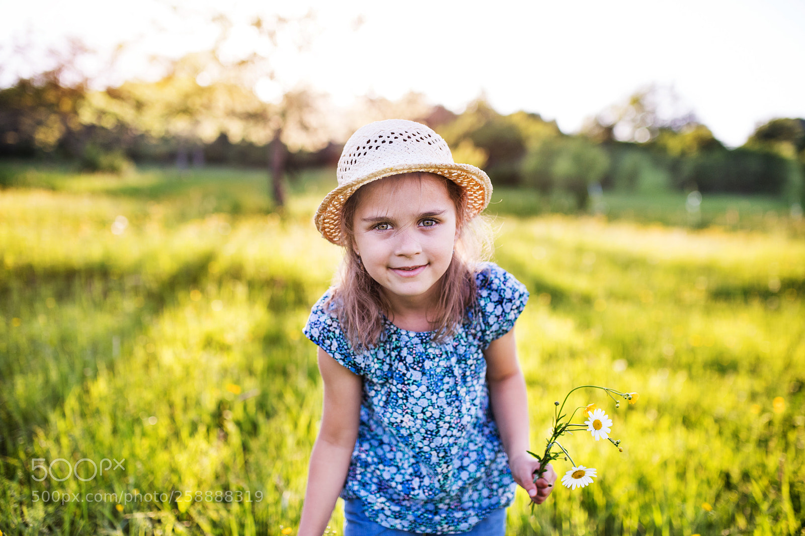 Nikon D5 sample photo. A portrait of a photography