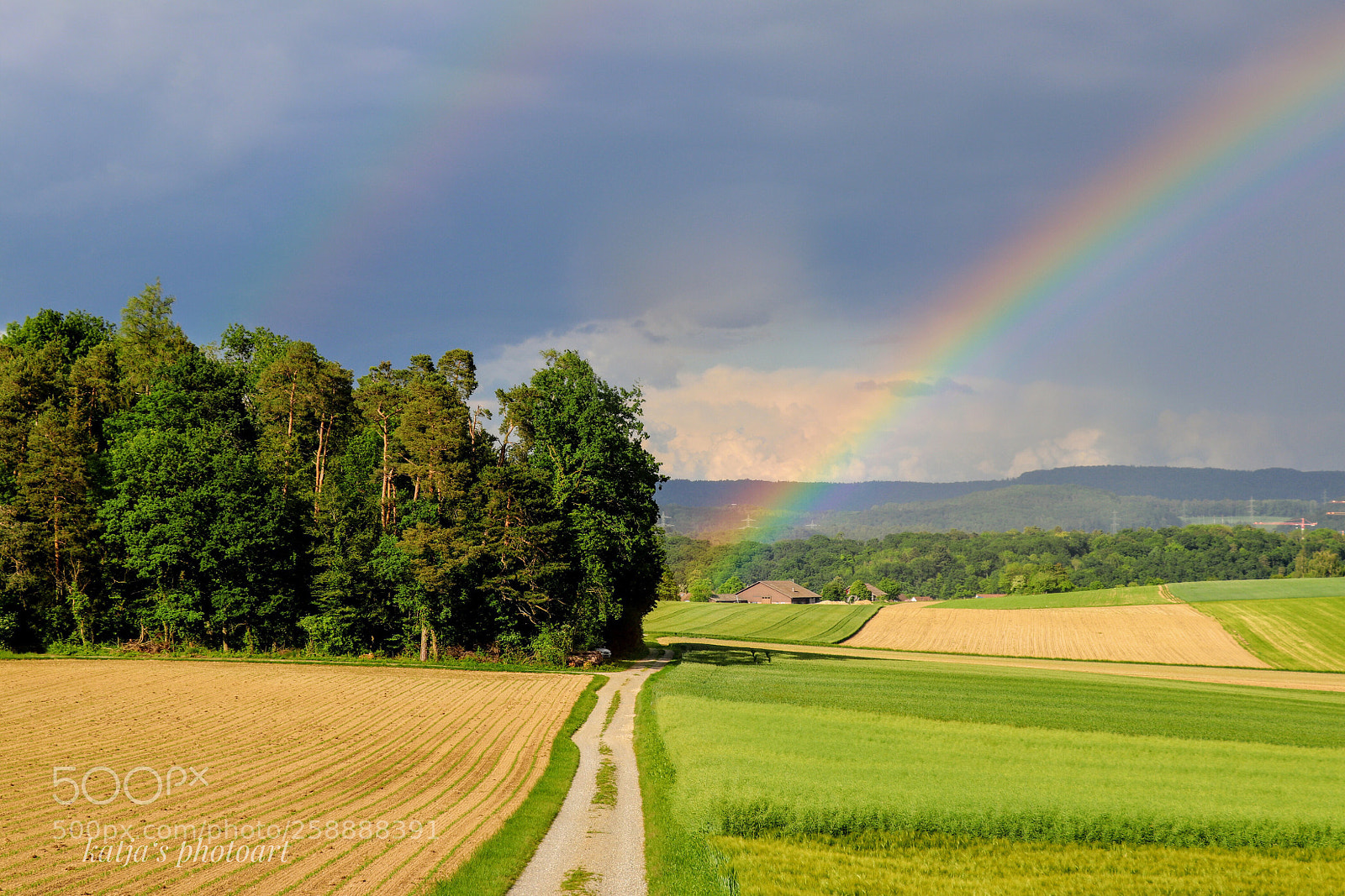 Canon EOS 80D sample photo. Rainbow photography