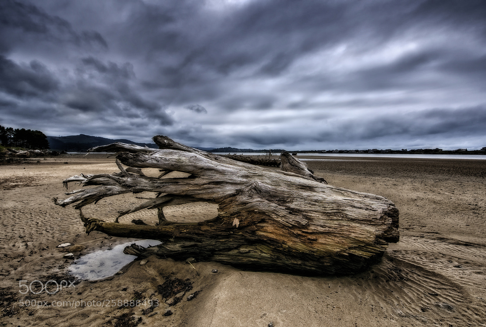 Nikon D810 sample photo. Depoe bay 5 photography