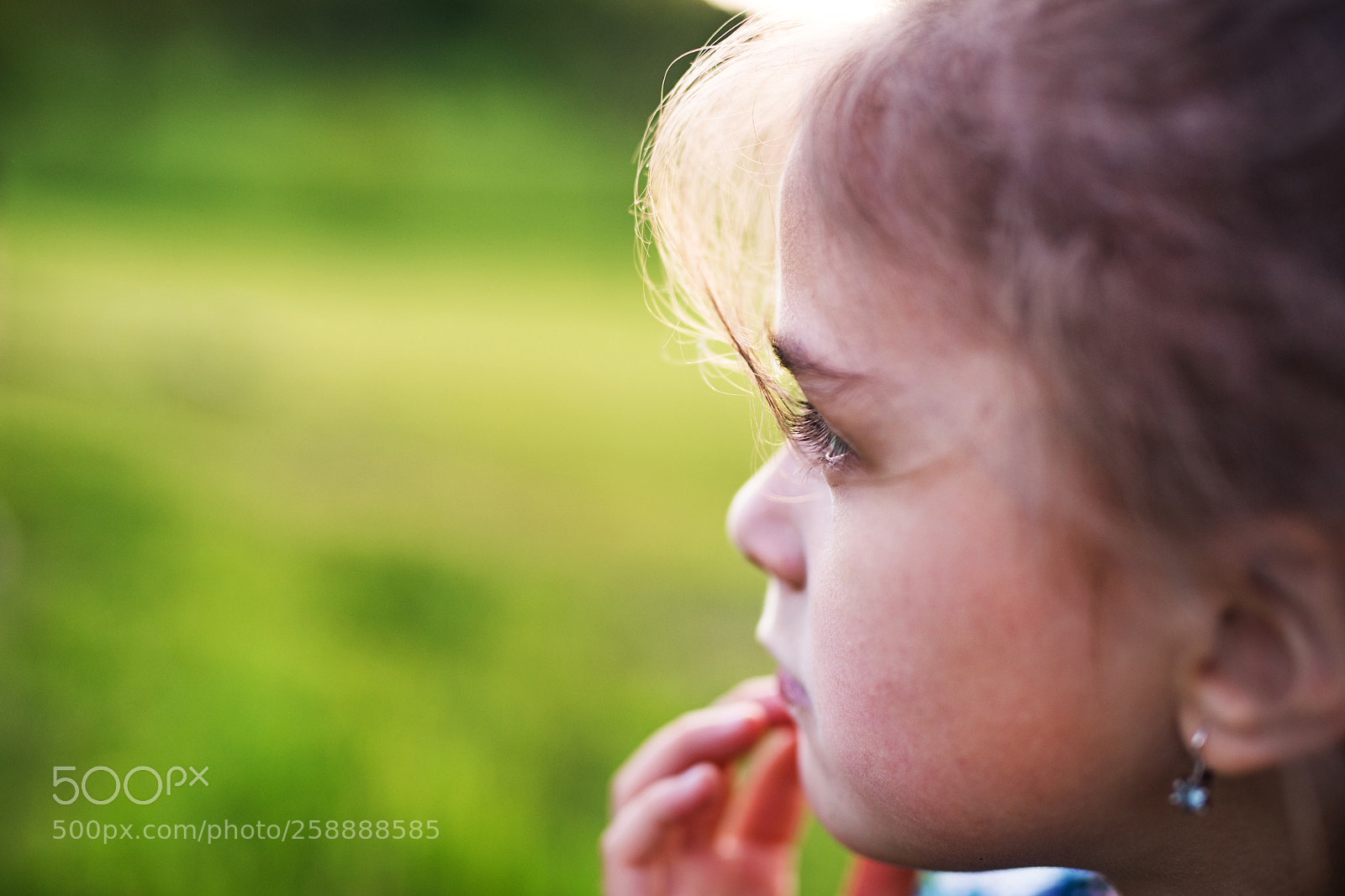 Nikon D5 sample photo. A small girl in photography