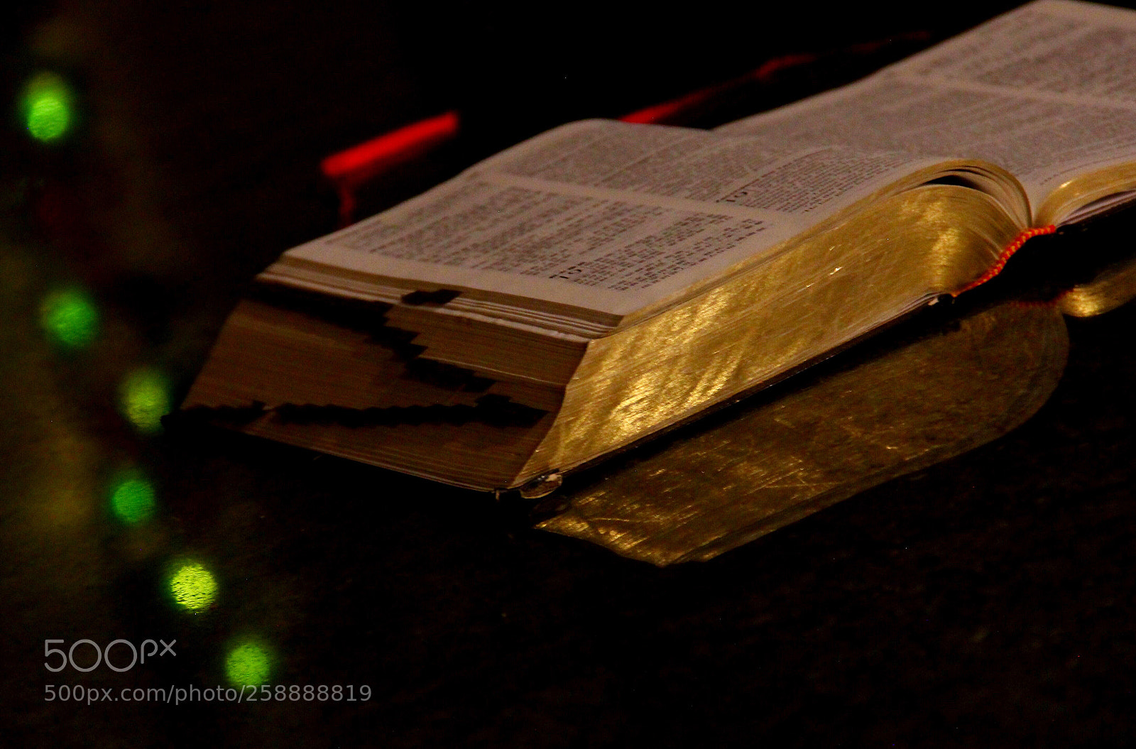 Canon EOS 60D sample photo. Wait and stay  photography
