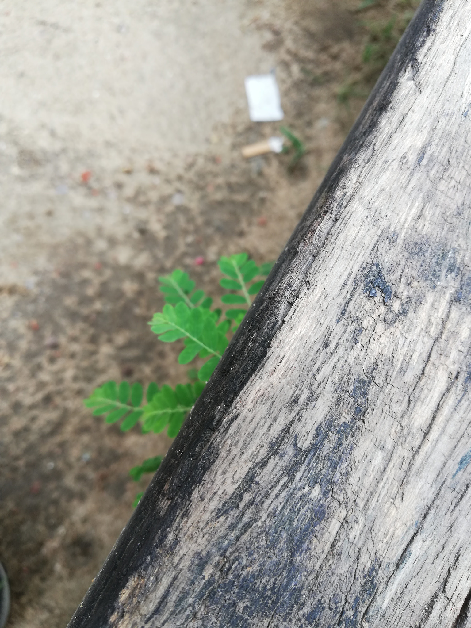 HUAWEI nova 2i sample photo