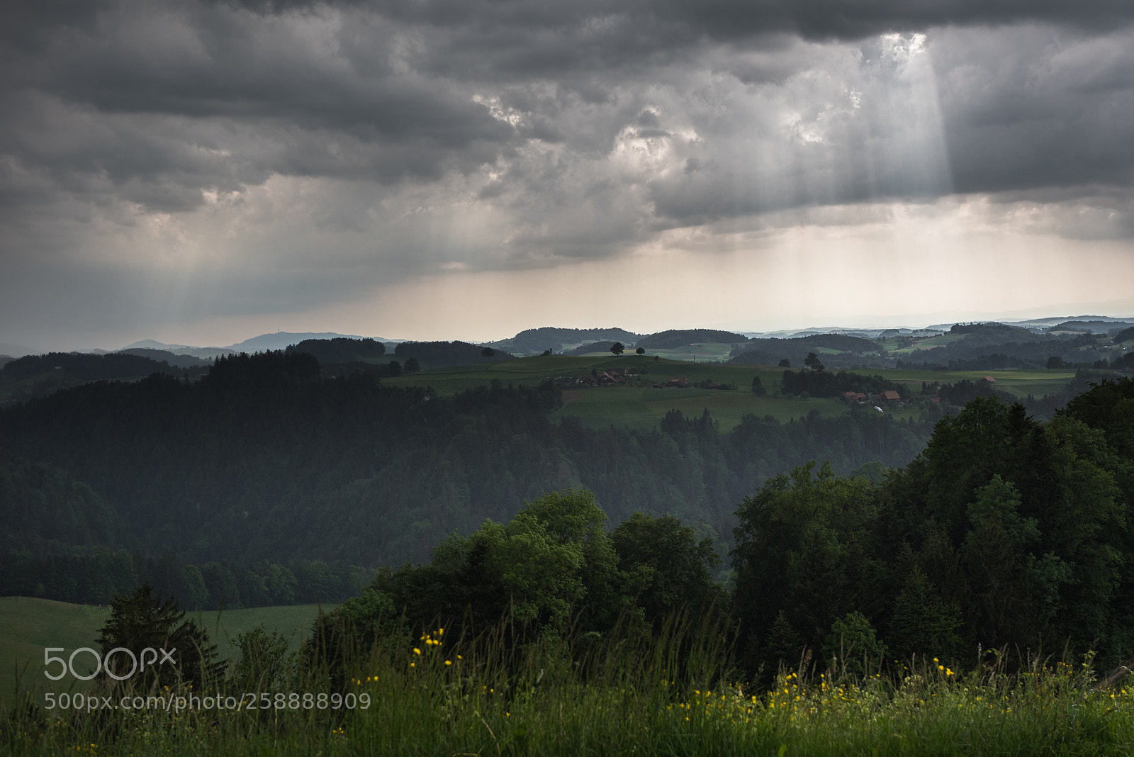 Nikon D810 sample photo. Rainy day ii photography