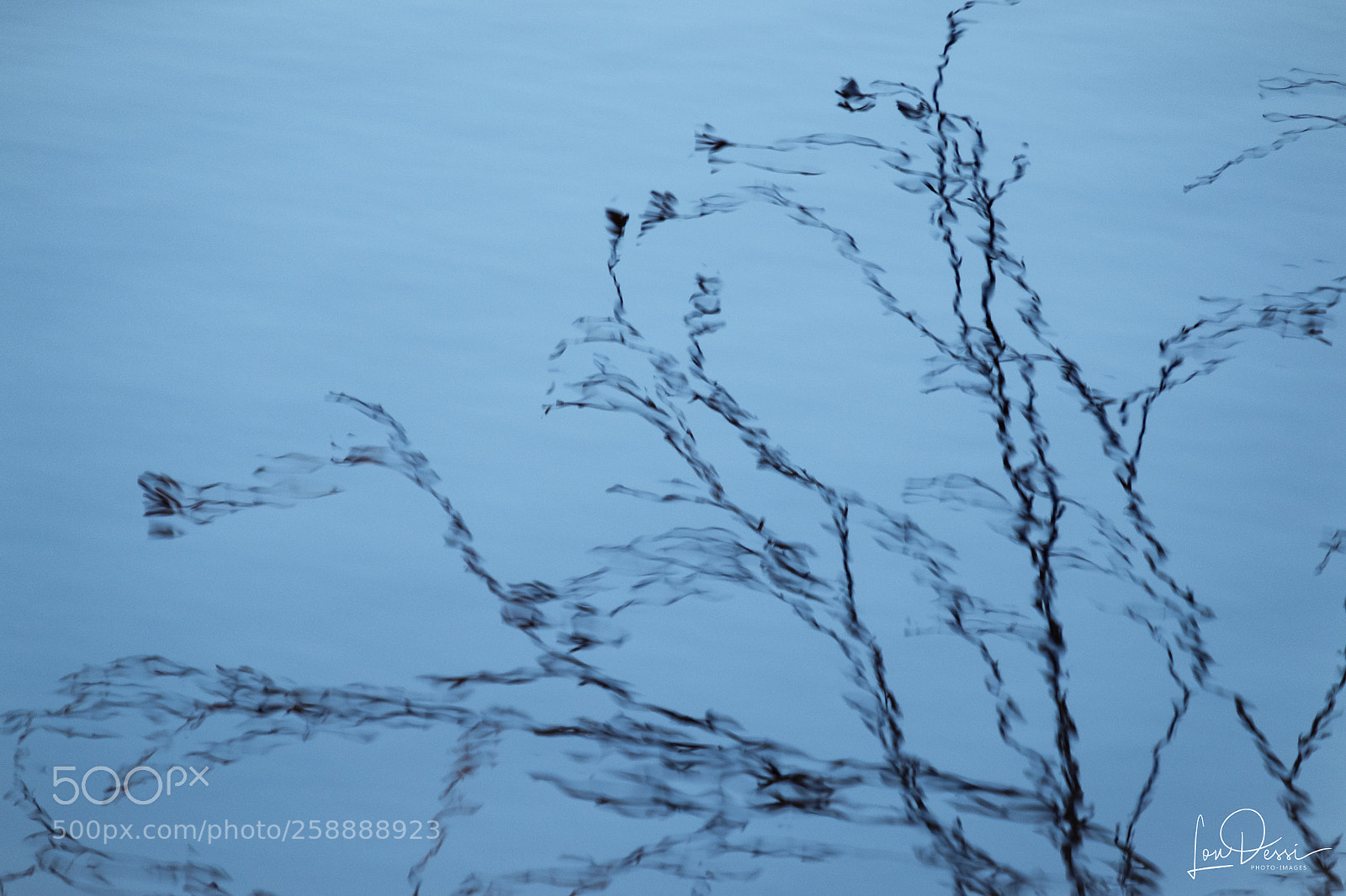 Fujifilm X-T1 sample photo. Floating dance in the photography