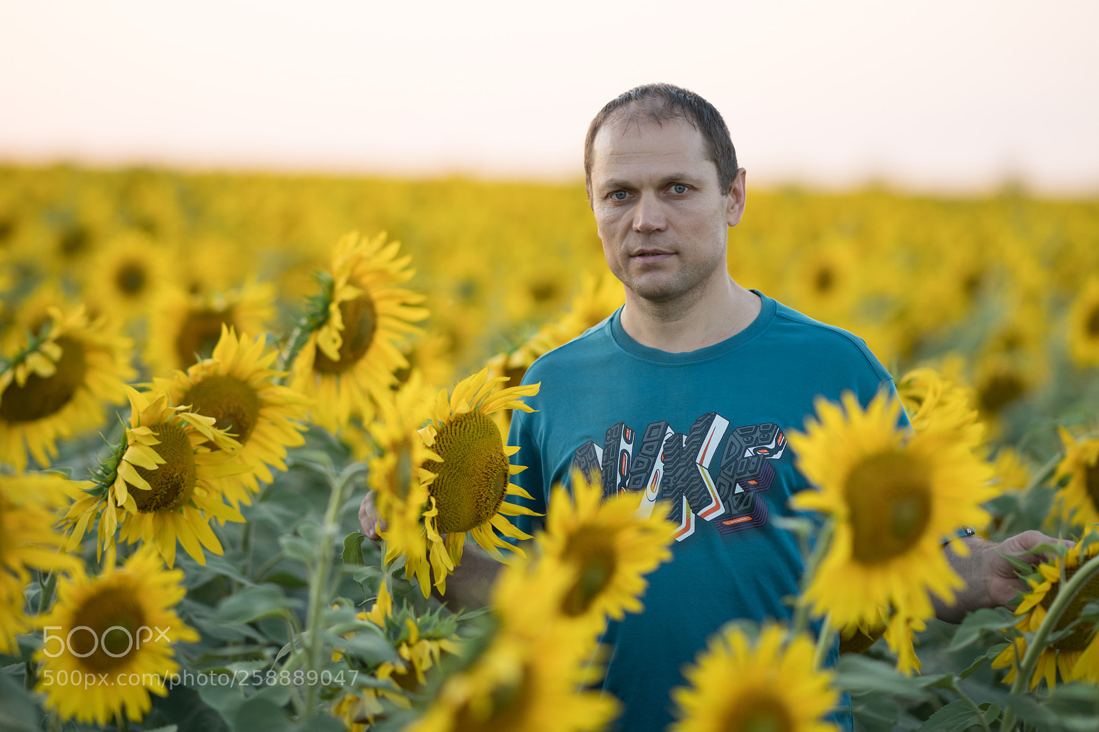 Sony a99 II sample photo. Dsc photography