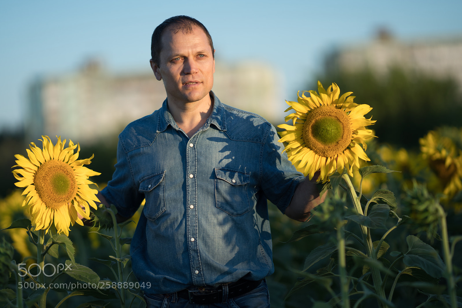 Sony a99 II sample photo. Dsc photography