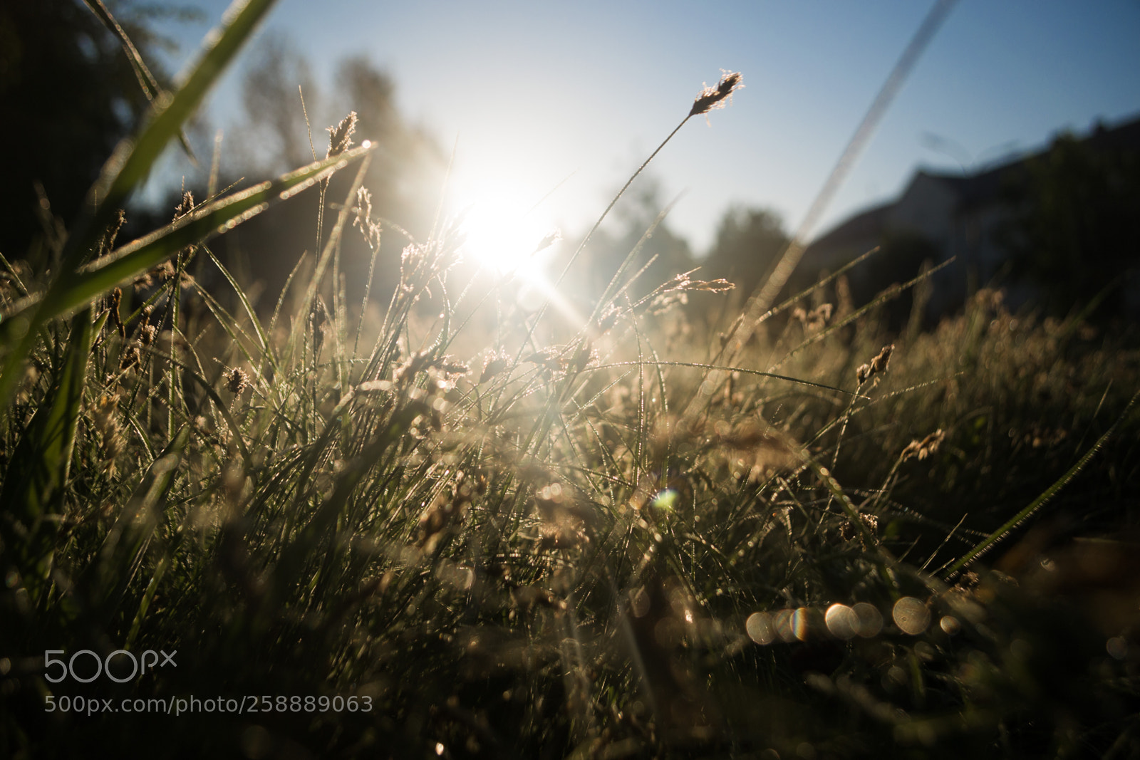 Nikon D3100 sample photo. Sunrise photography