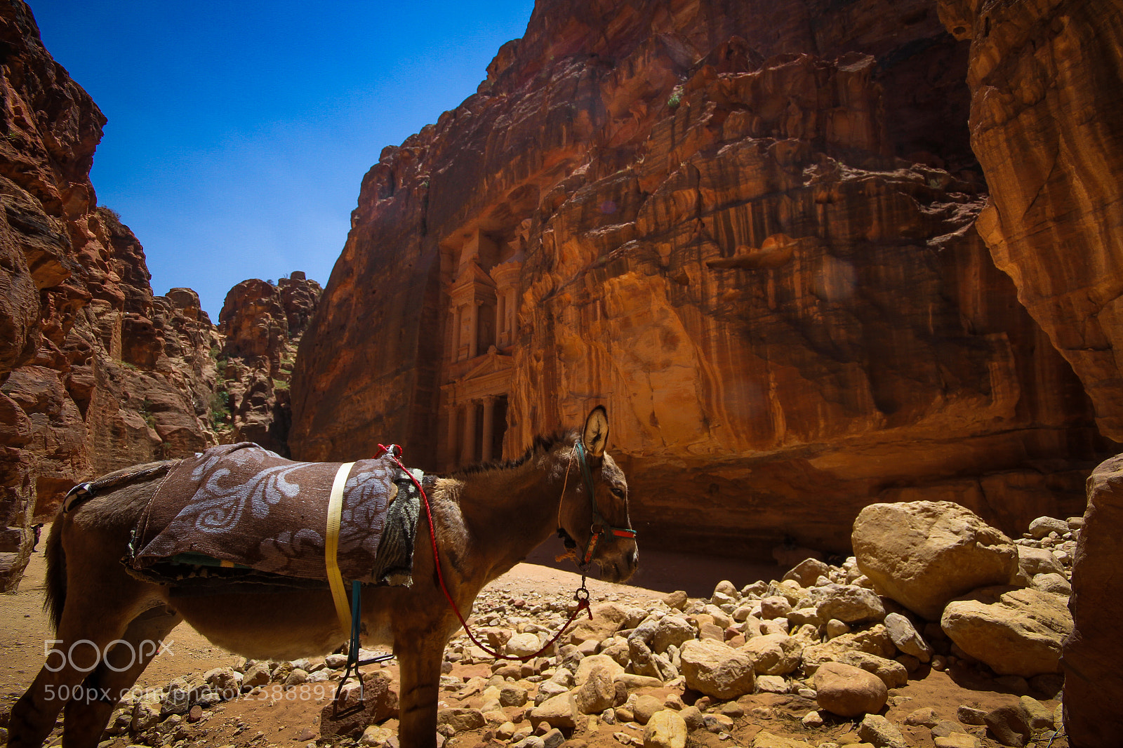 Canon EOS 7D sample photo. Current tenants of petra! photography
