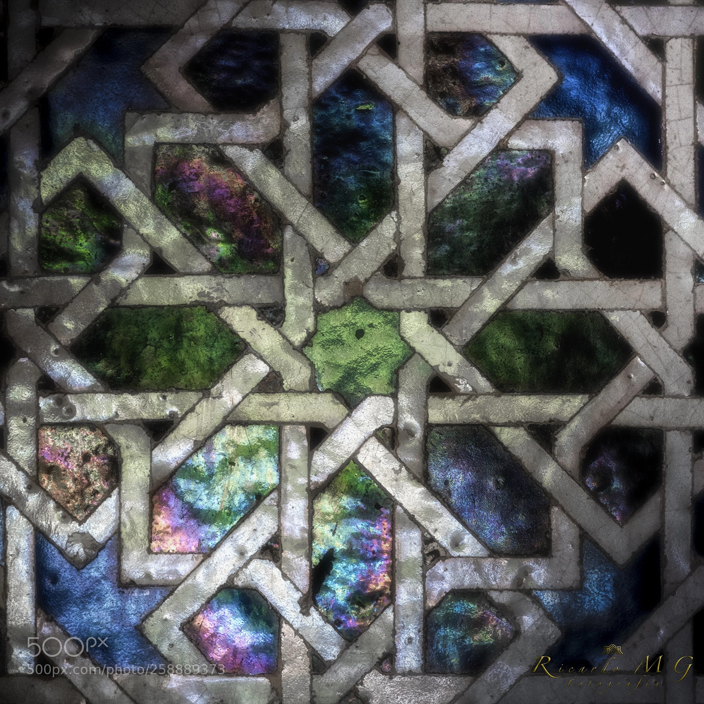 Nikon D810 sample photo. Irisdiscencia photography