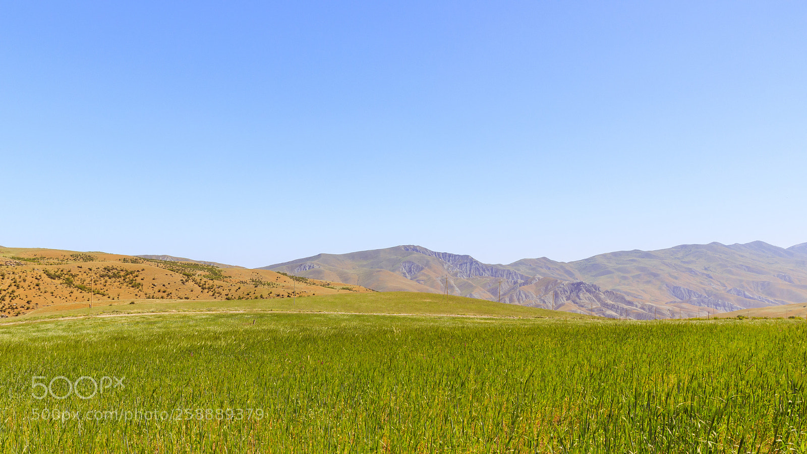 Canon EOS 5D Mark IV sample photo. A photography