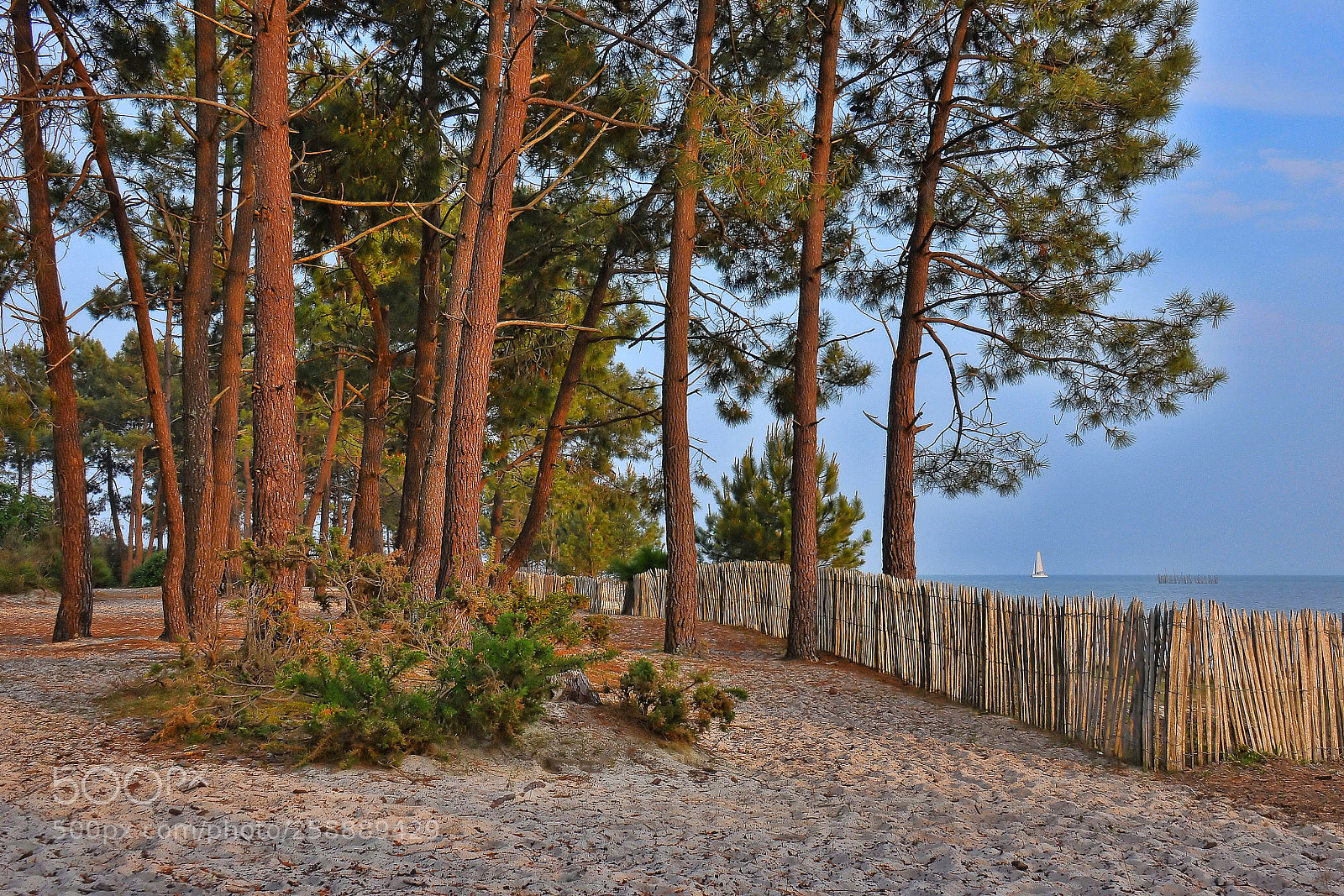 Nikon D90 sample photo. Pointe des quinconces photography