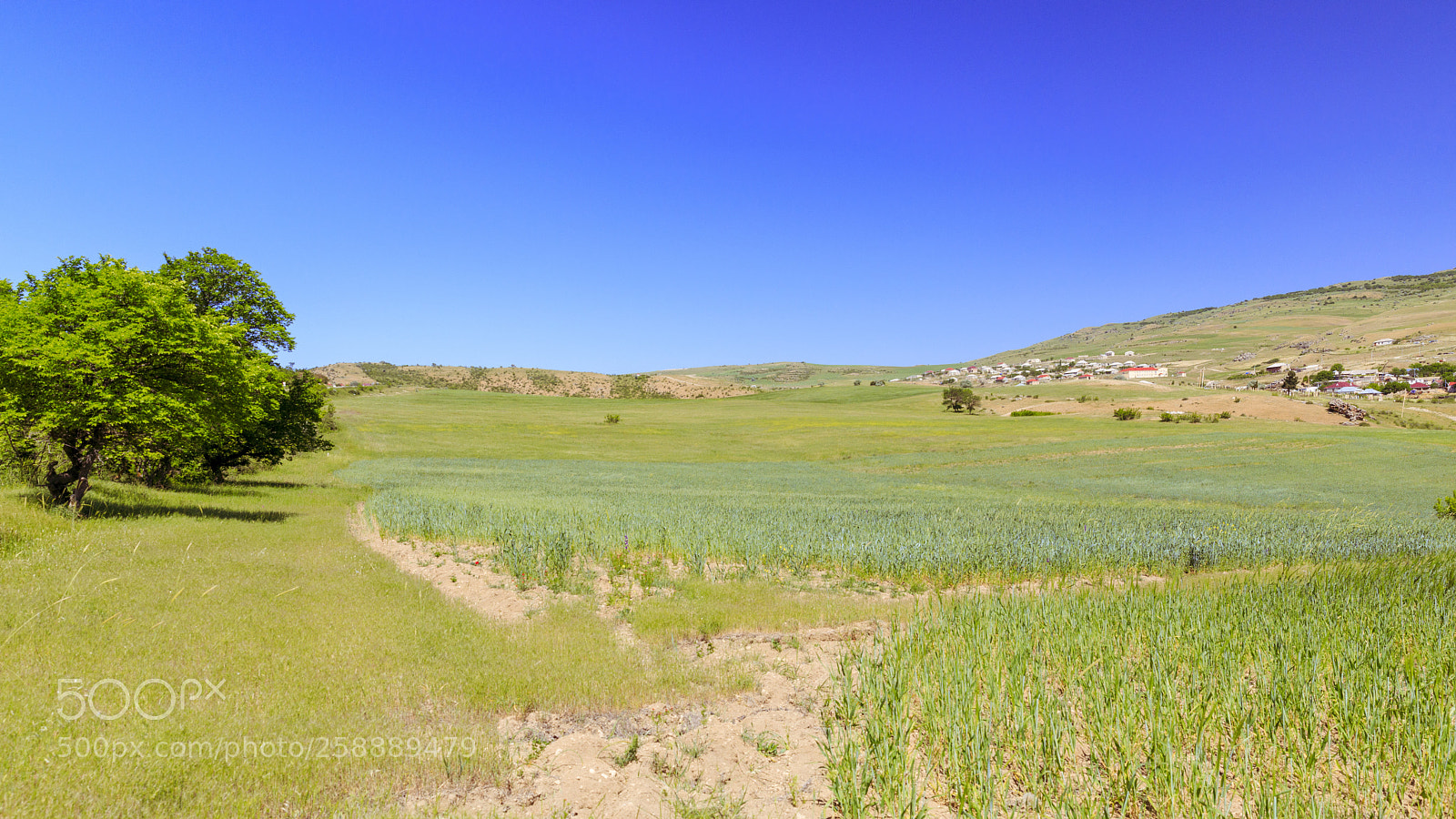 Canon EOS 5D Mark IV sample photo. A photography