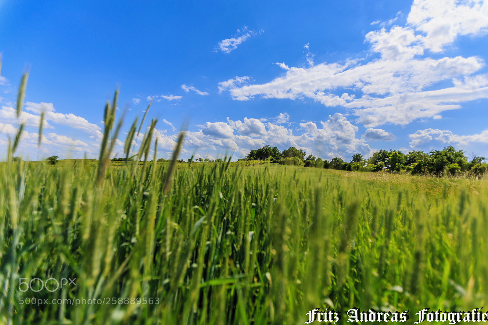 Canon EOS 6D sample photo. Pfingstmontag 1.0 photography