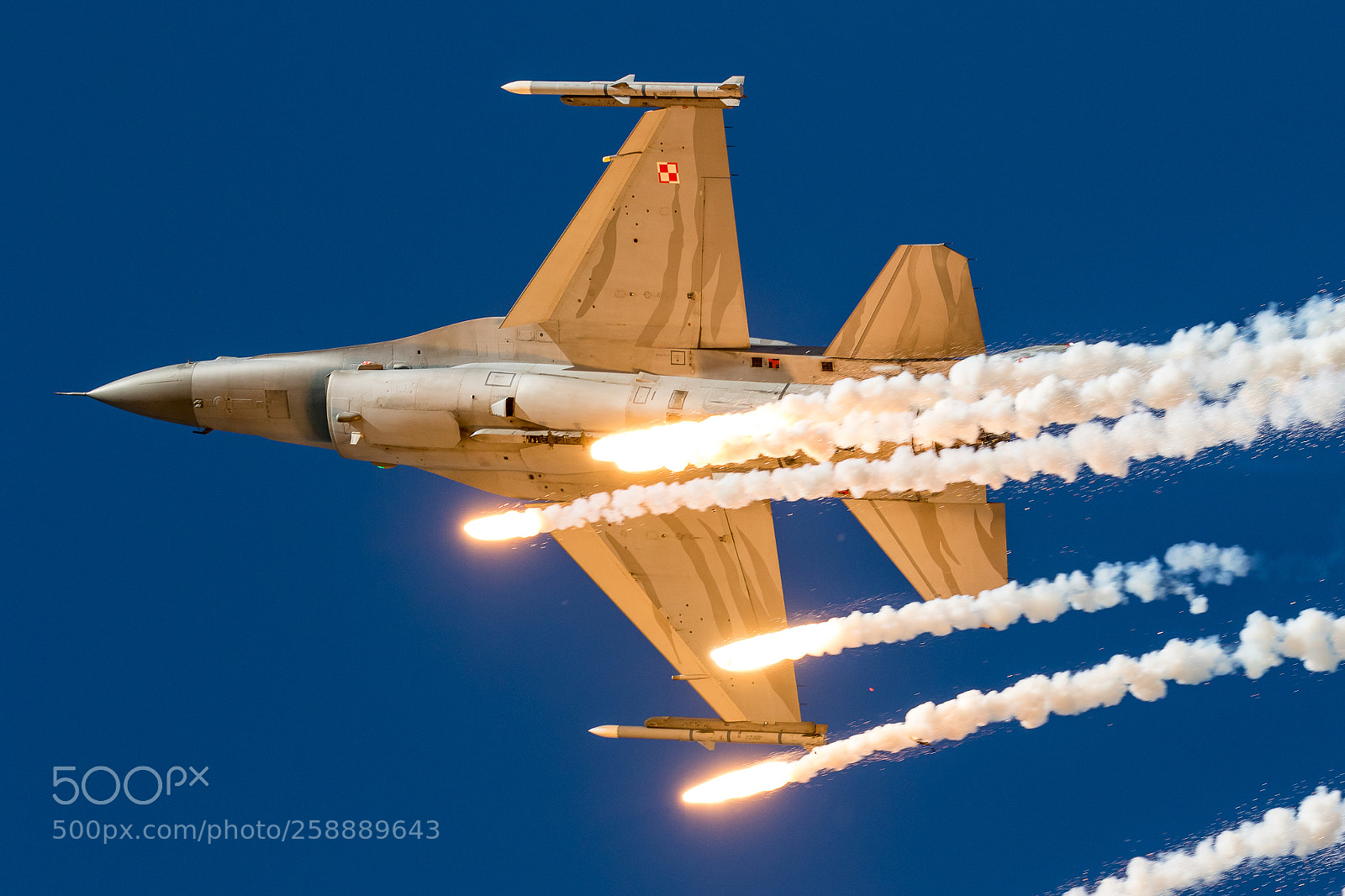 Canon EOS 7D Mark II sample photo. Tiger flares photography