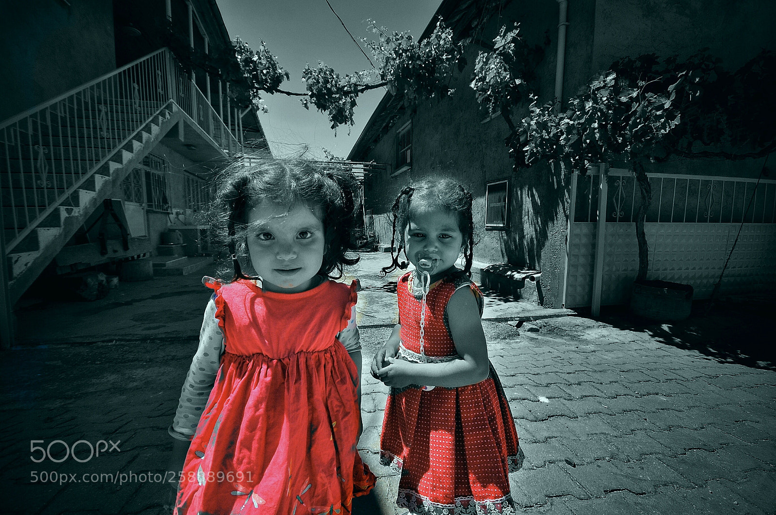 Nikon D300S sample photo. Untitled photography
