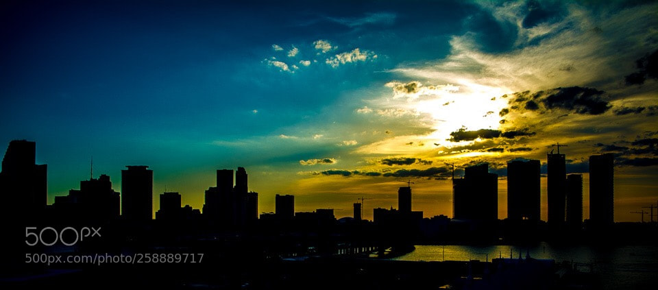 Nikon D7100 sample photo. Untitled photography