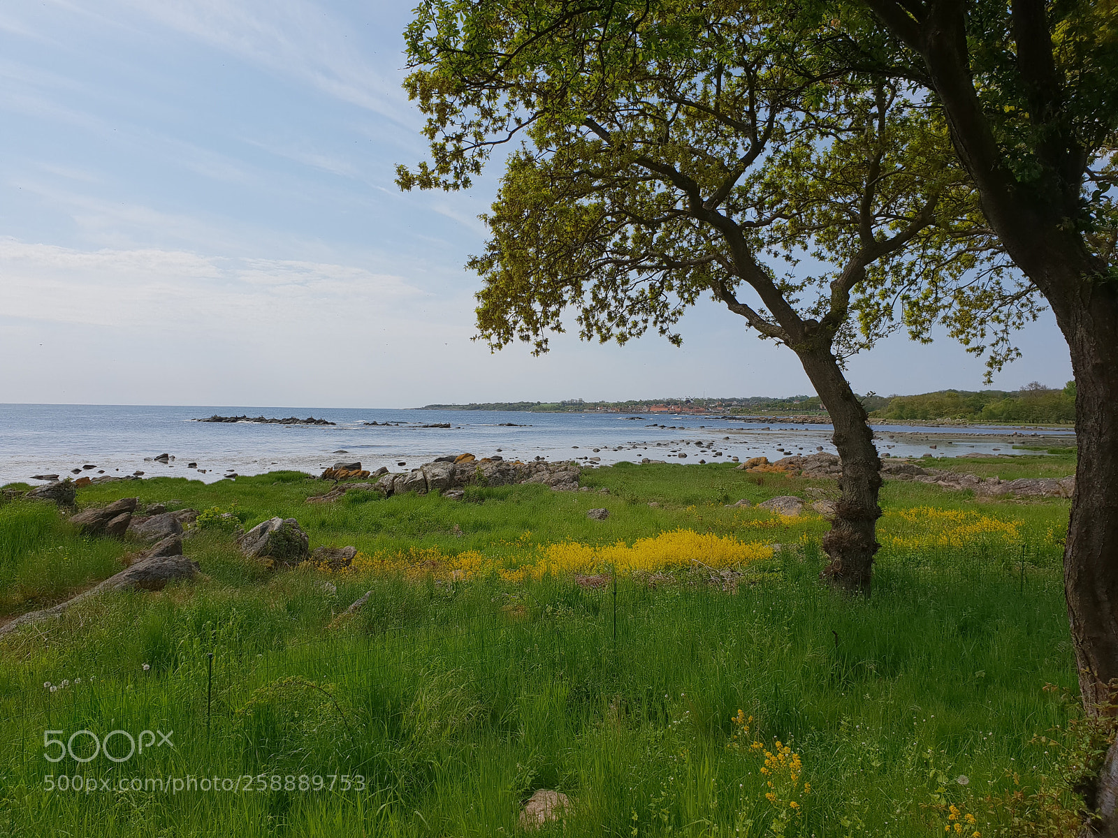 Samsung Galaxy S9+ sample photo. Morning from solsidden photography