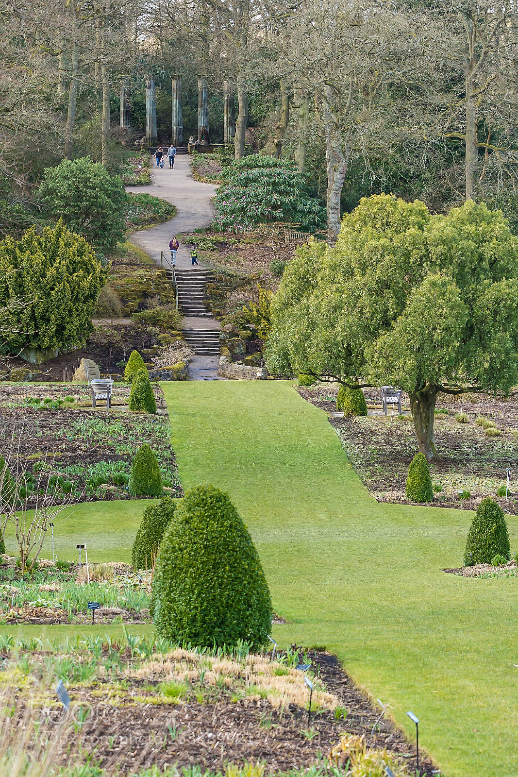 Nikon D7100 sample photo. Harlow carr photography