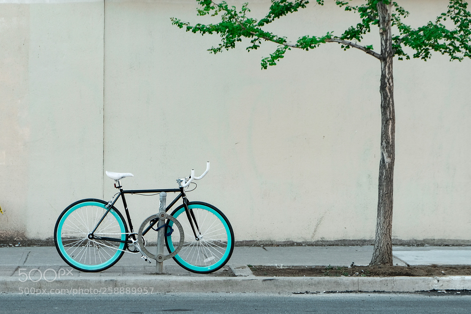 Fujifilm X-T20 sample photo. Bike to nature photography