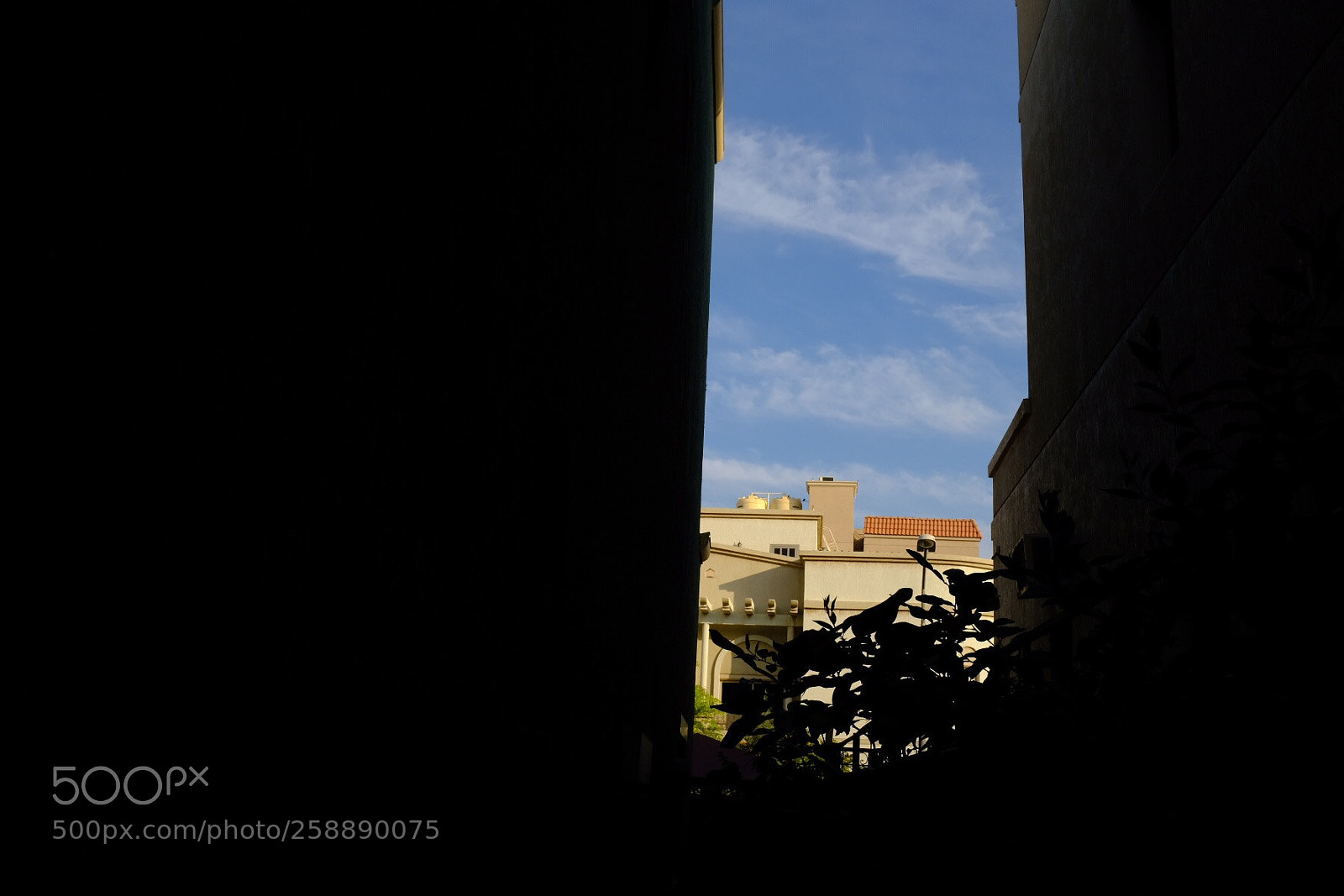 Fujifilm X100F sample photo. Look up photography
