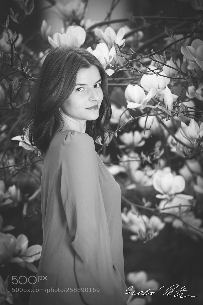 Nikon D610 sample photo. Timi photography