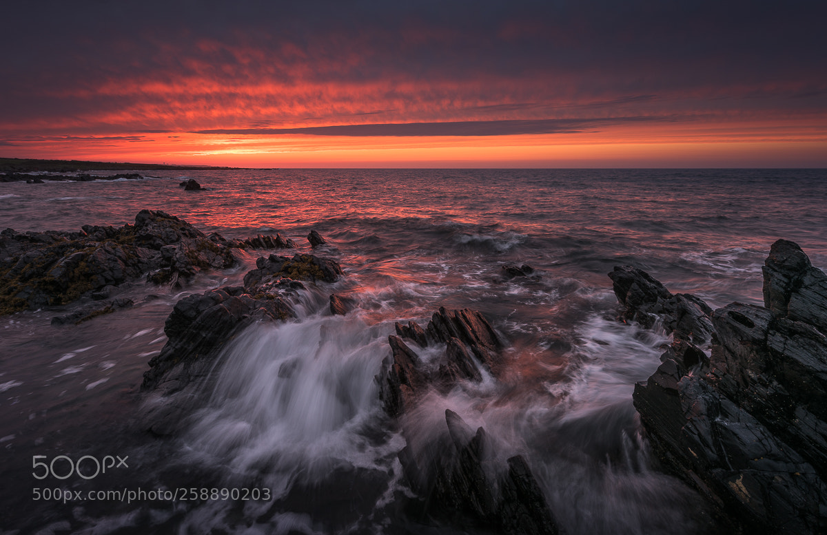 Nikon D810 sample photo. St john's point photography