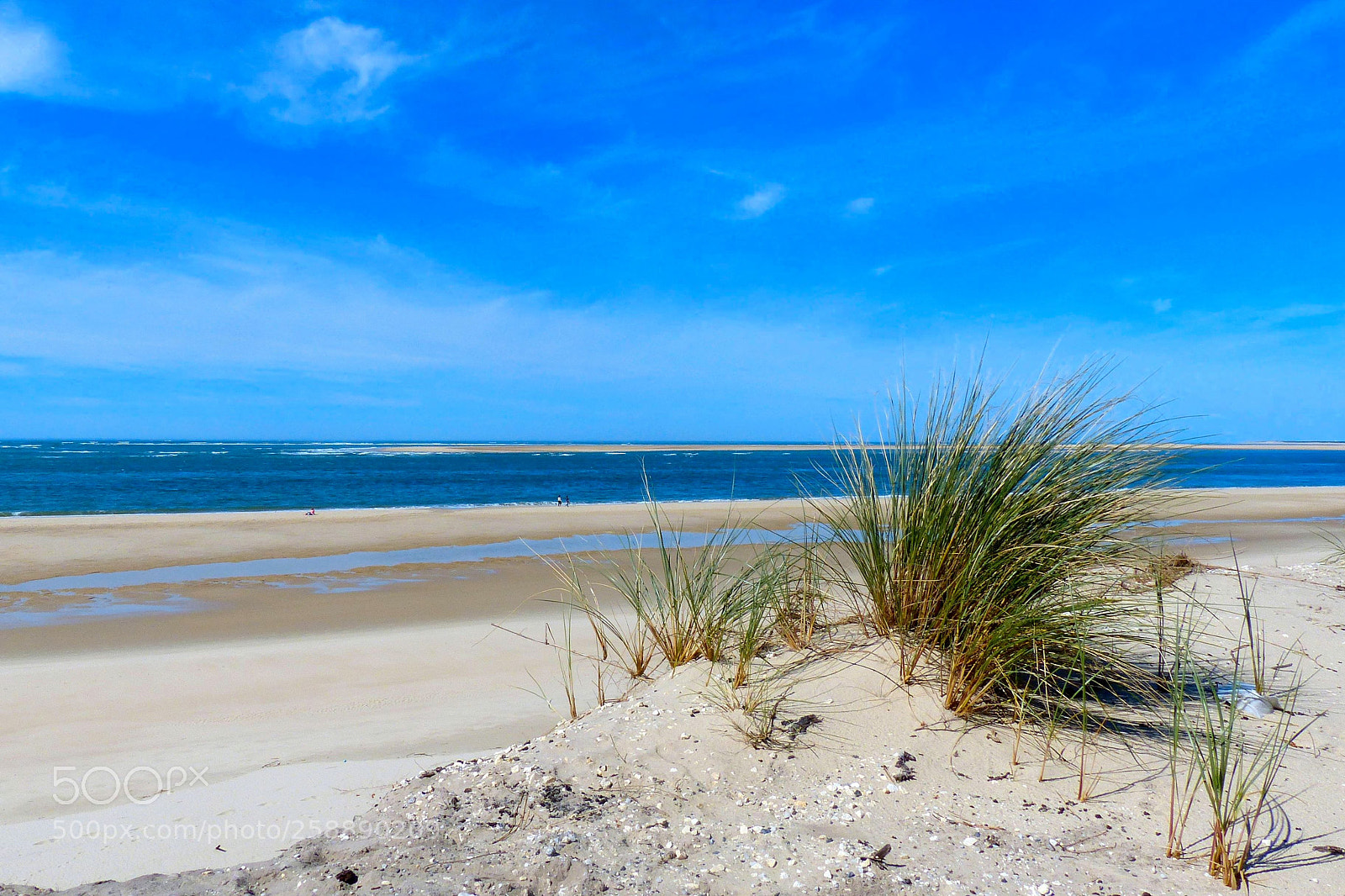 Panasonic Lumix DMC-FZ200 sample photo. Banc d'arguin photography