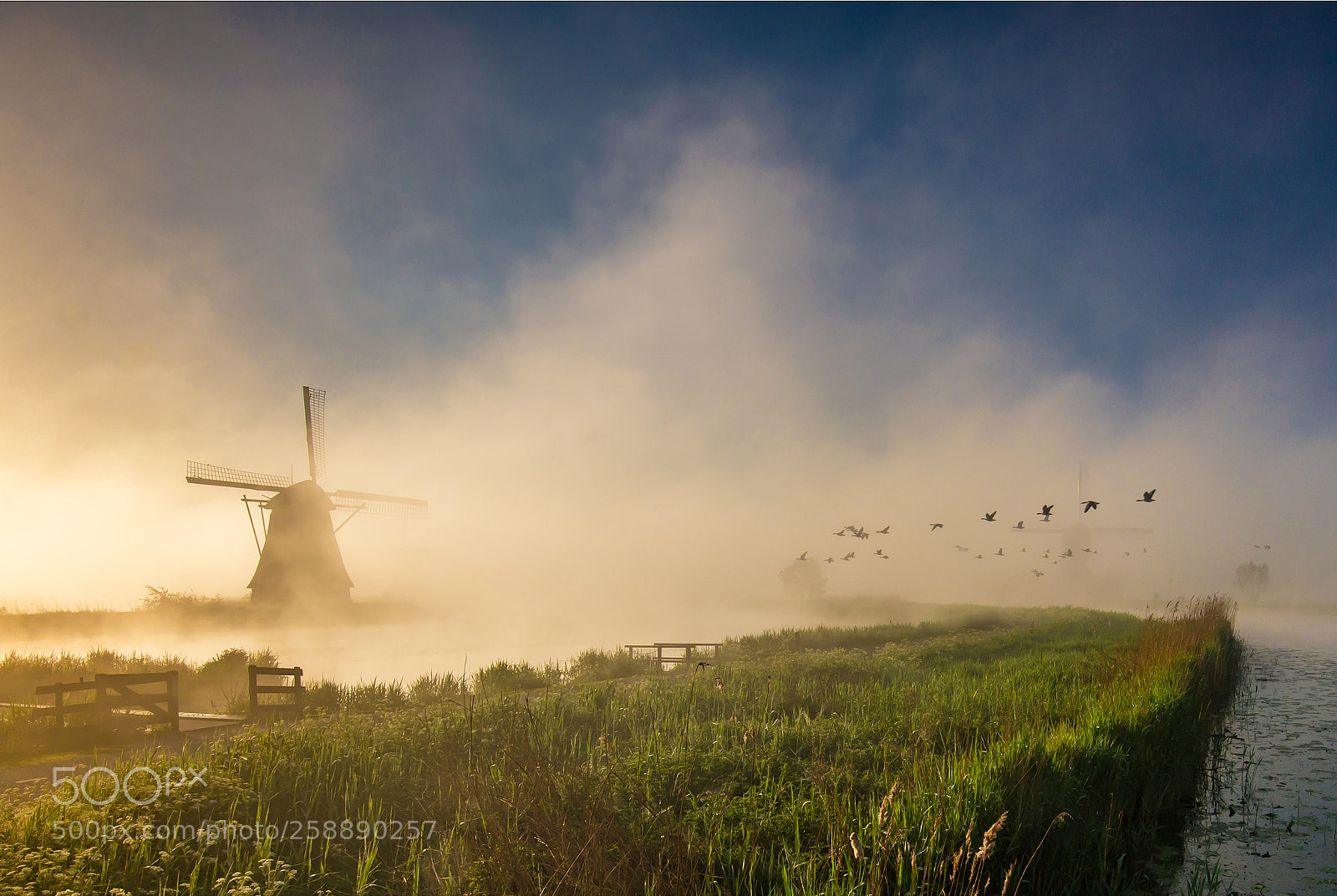 Nikon D610 sample photo. Steam photography