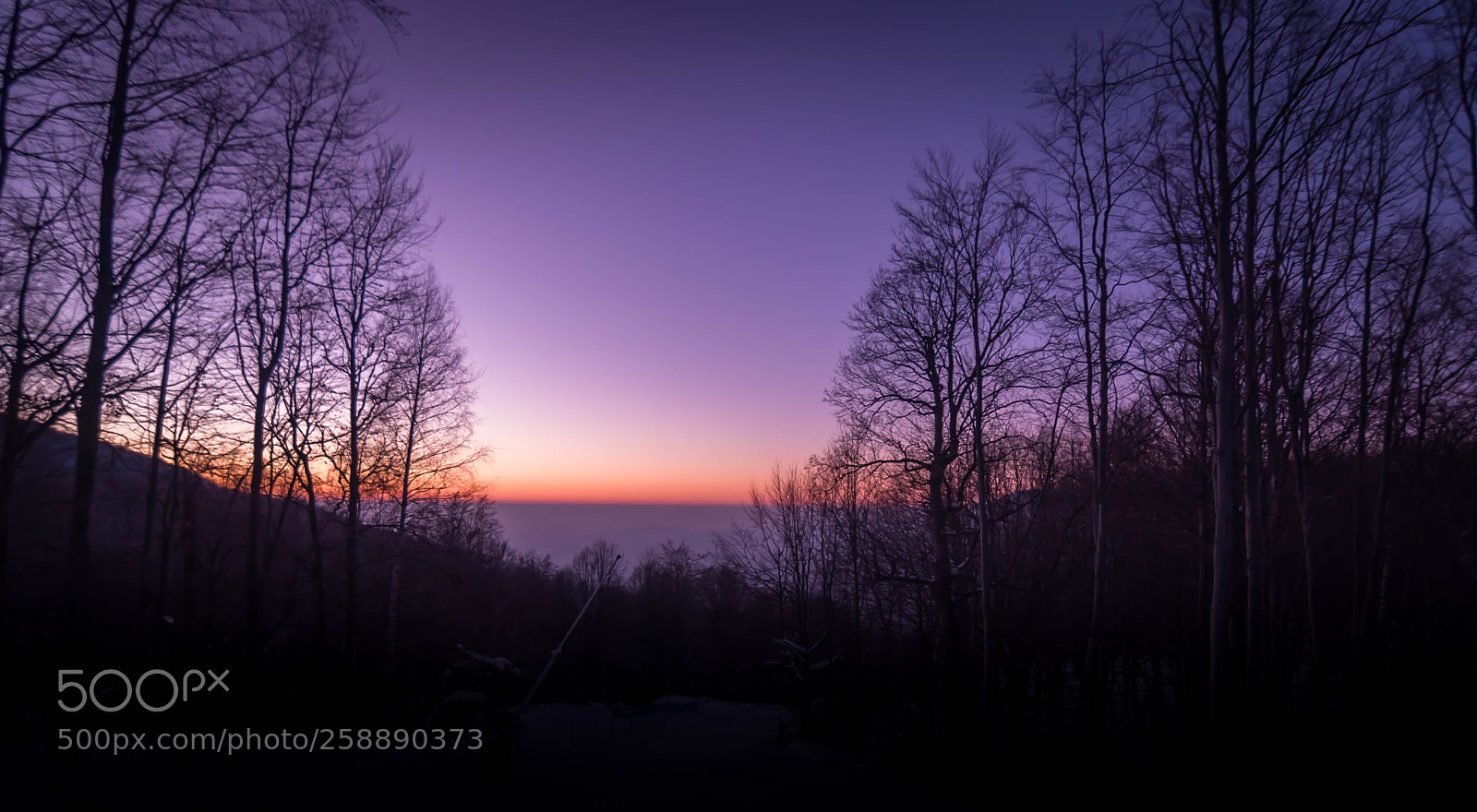 Canon EOS 40D sample photo. Purplesunset photography