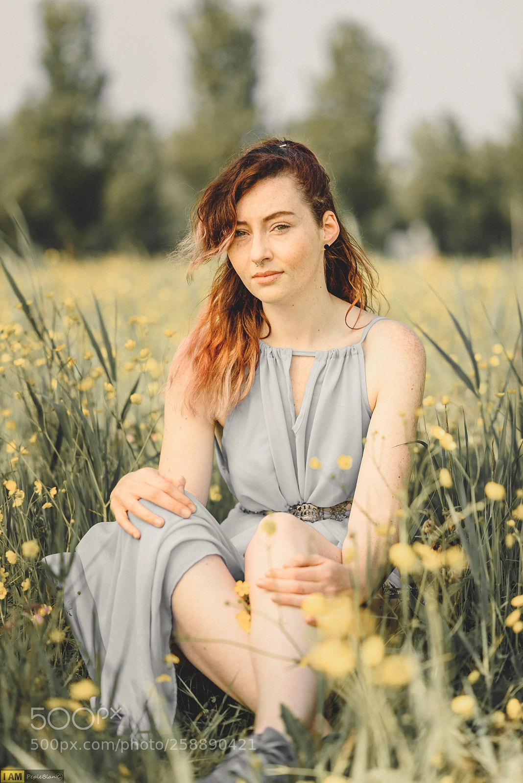 Nikon D750 sample photo. Beauty in nature photography