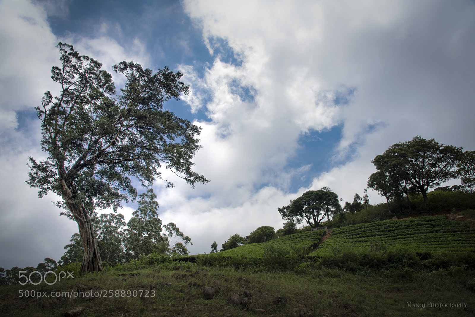 Nikon D750 sample photo. Beauty of megamalai photography