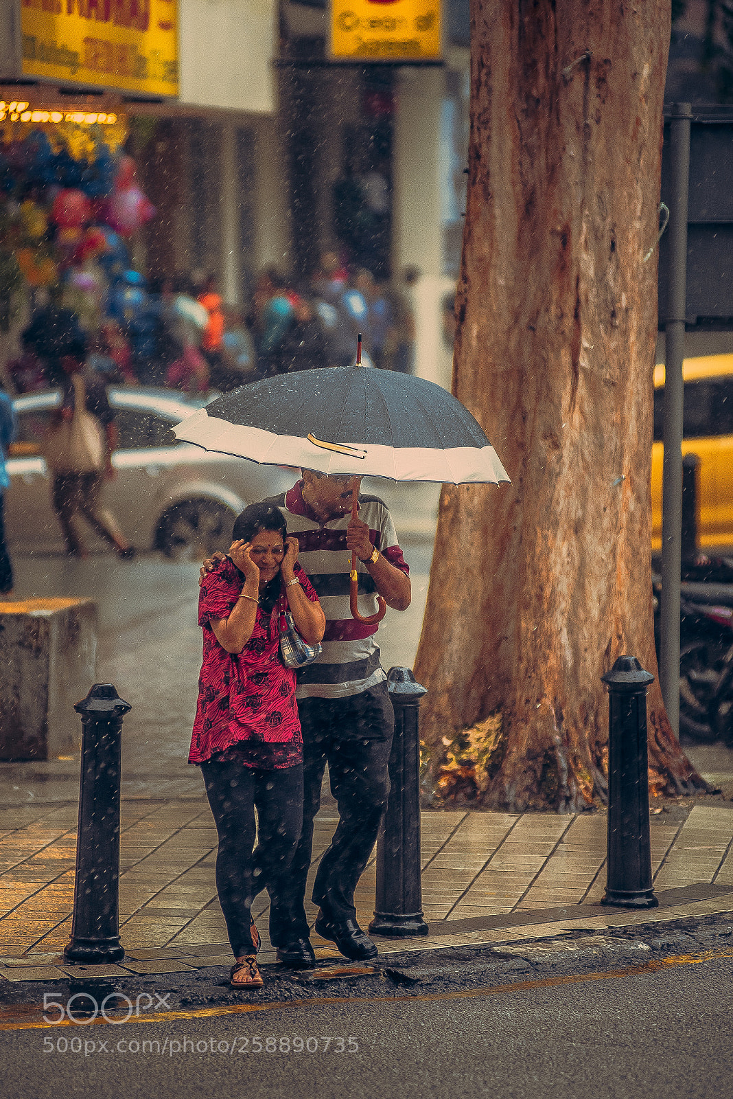 Nikon D750 sample photo. Monsoon days | kl photography