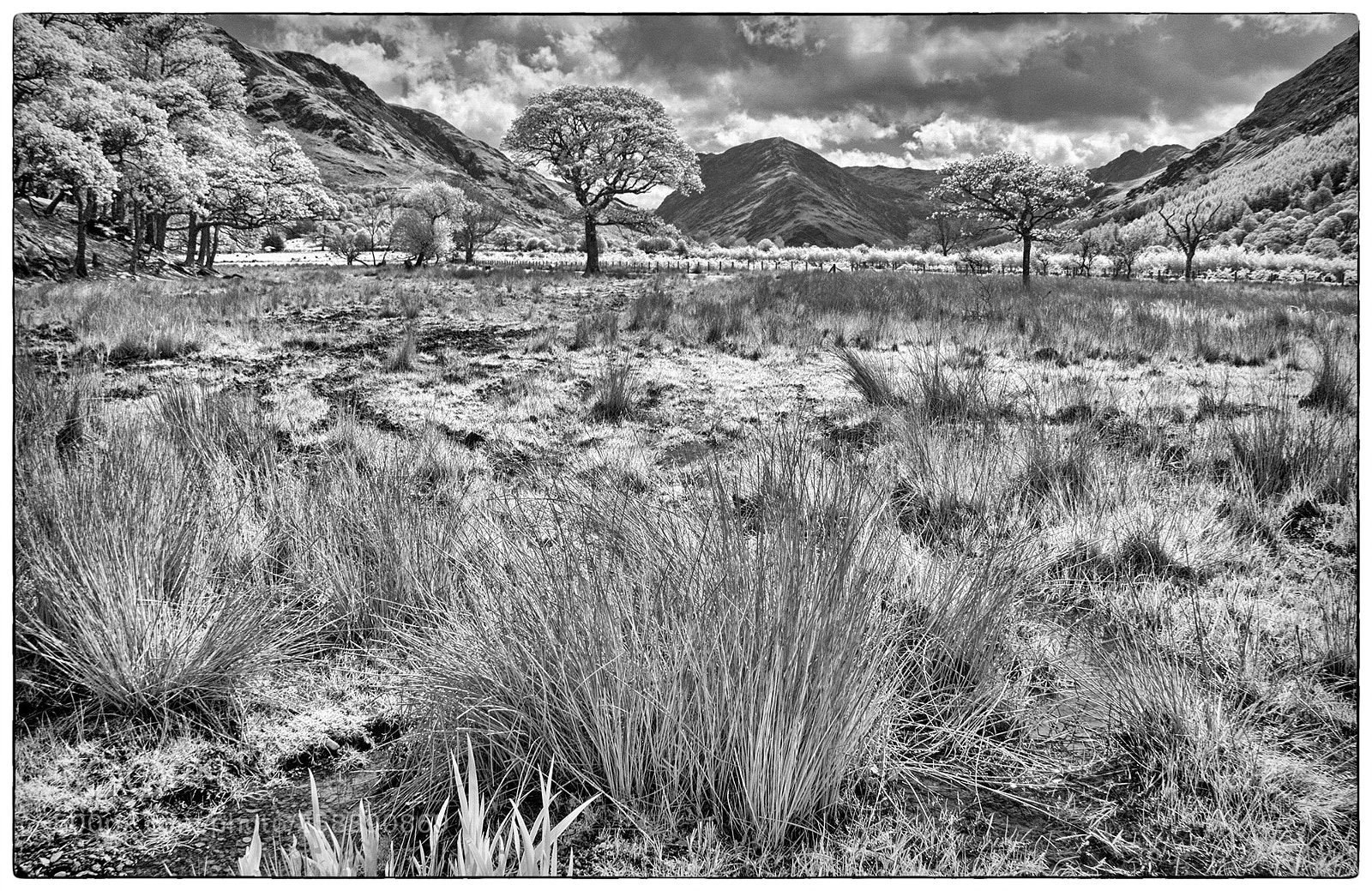 Sony Alpha DSLR-A100 sample photo. Lake district landscape photography