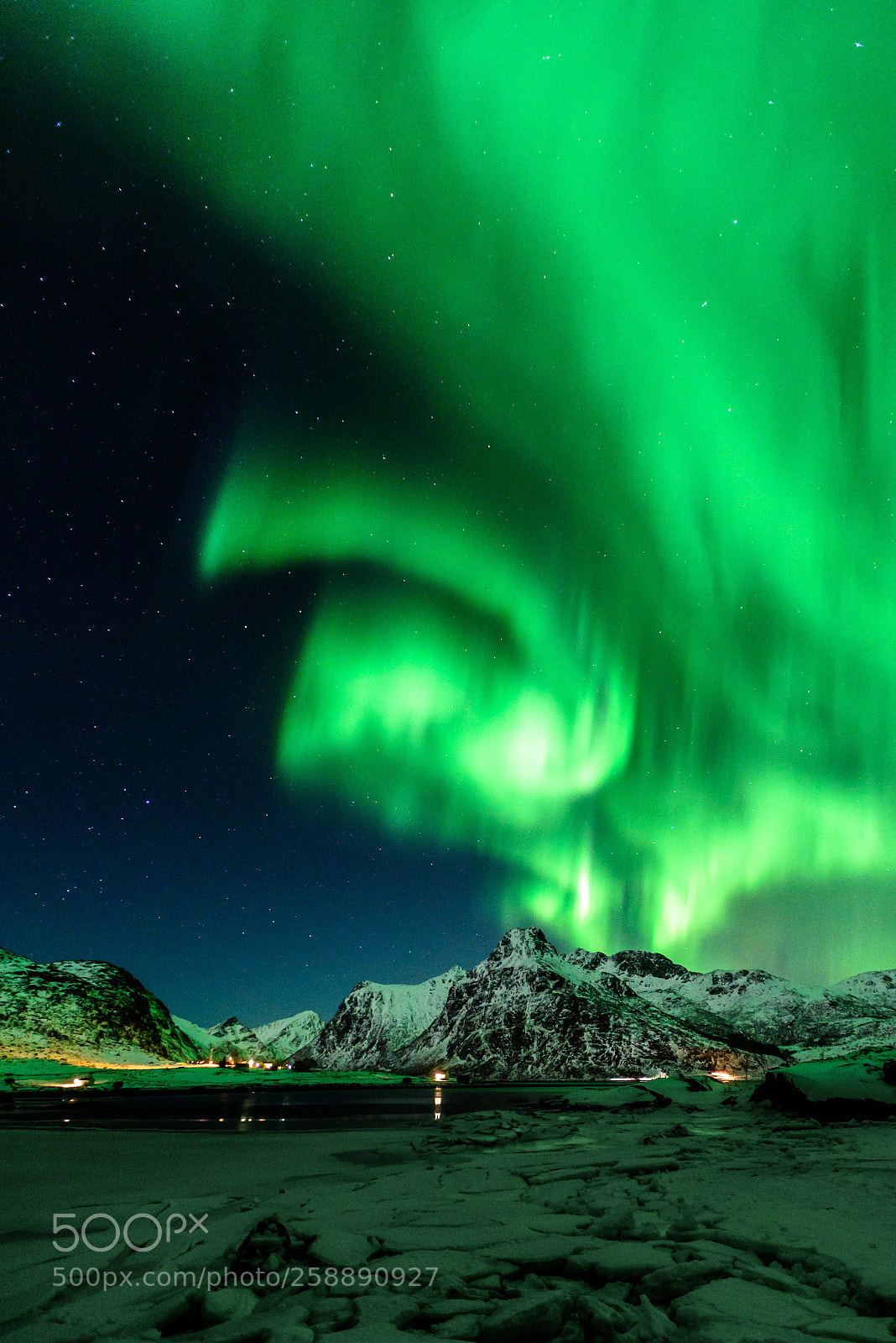 Nikon D750 sample photo. Flakstad borealis photography