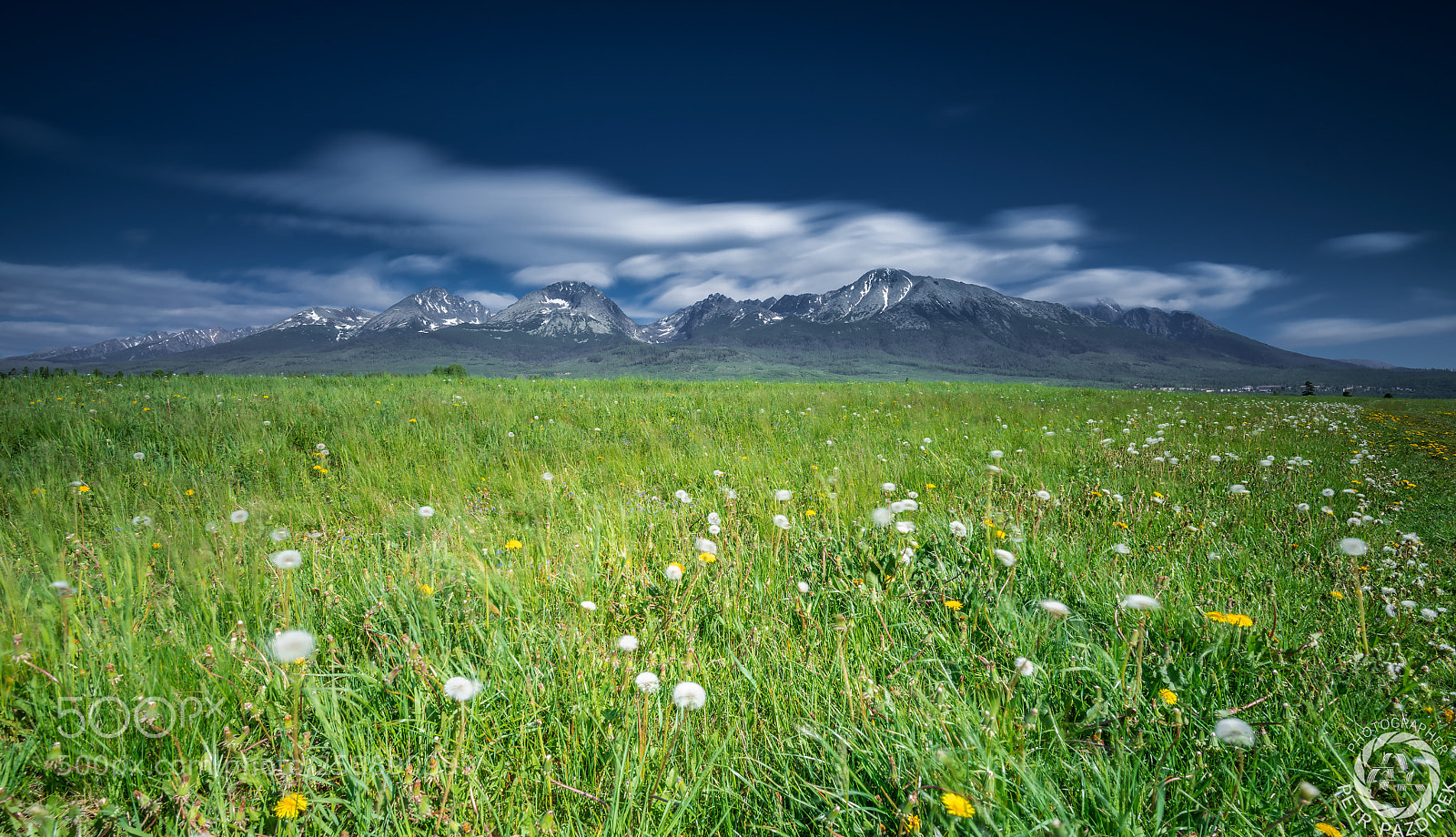 Nikon D850 sample photo. High tatras with spring photography