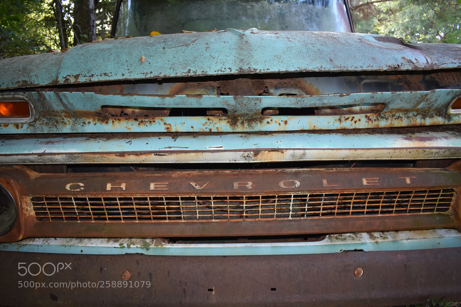 Nikon D3400 sample photo. Uncle clint's chevy photography