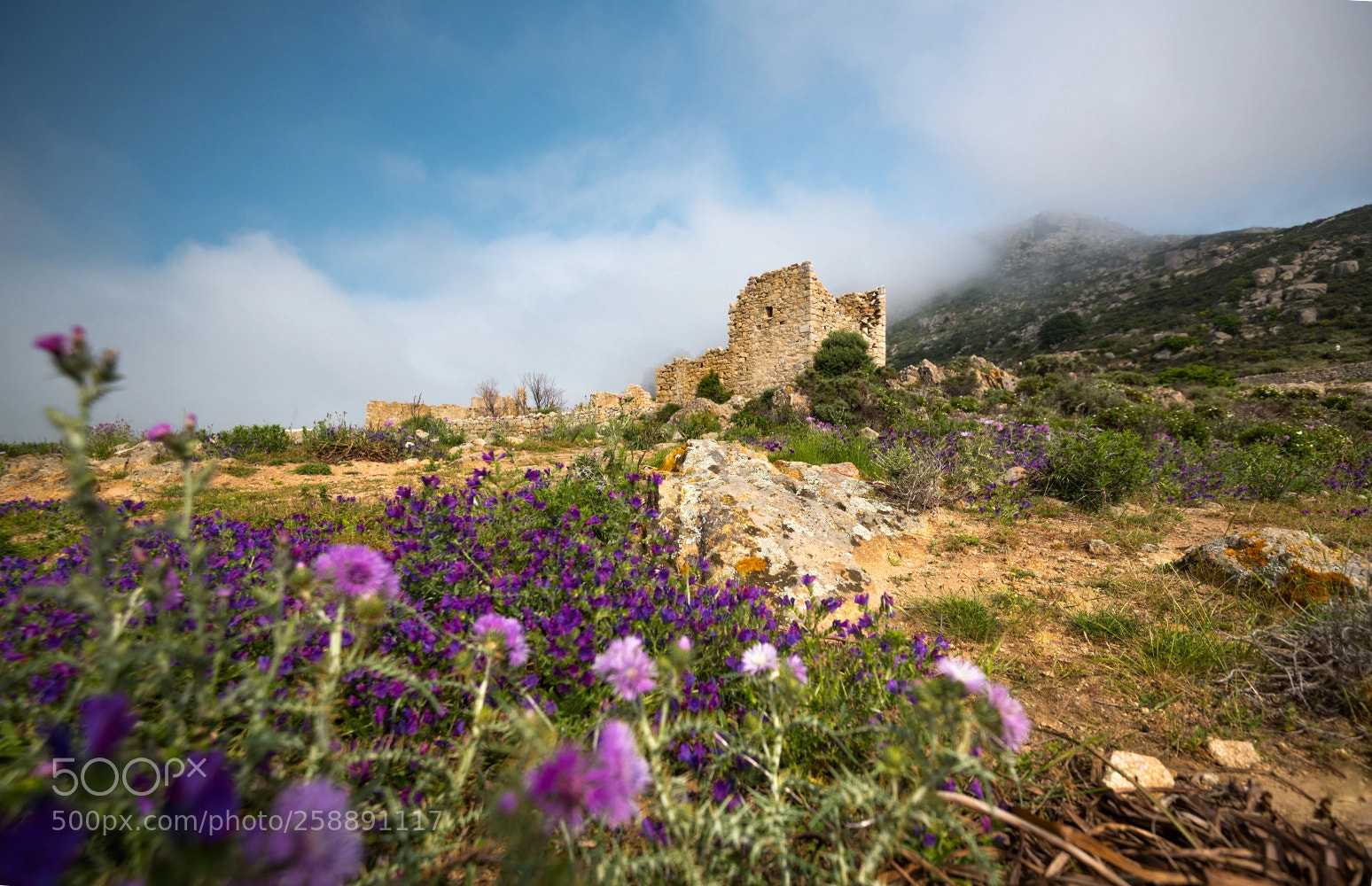 Nikon D750 sample photo. [ village abandoné : occi ] photography