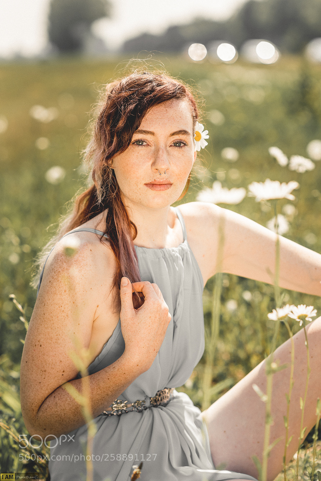 Nikon D750 sample photo. Girl in a flowerfield photography