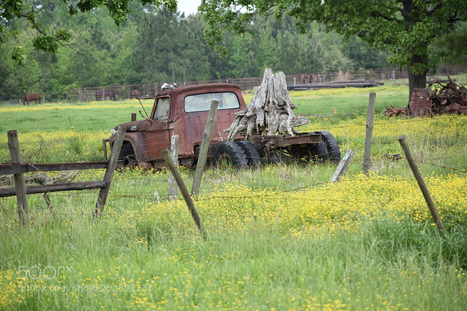 Nikon D3400 sample photo. Old family farm photography