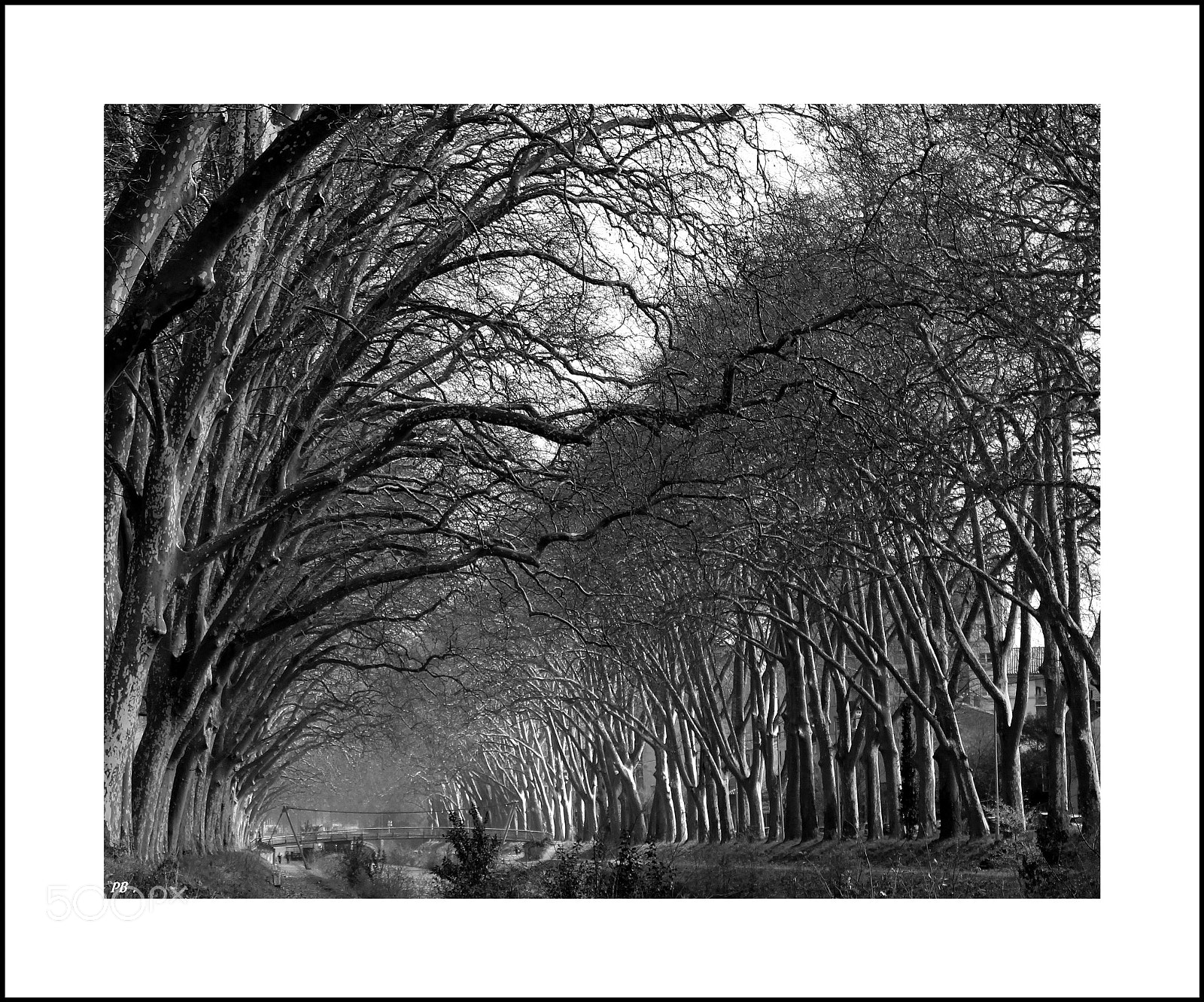 Canon EF-S 18-55mm F3.5-5.6 IS sample photo. Canal du midi photography
