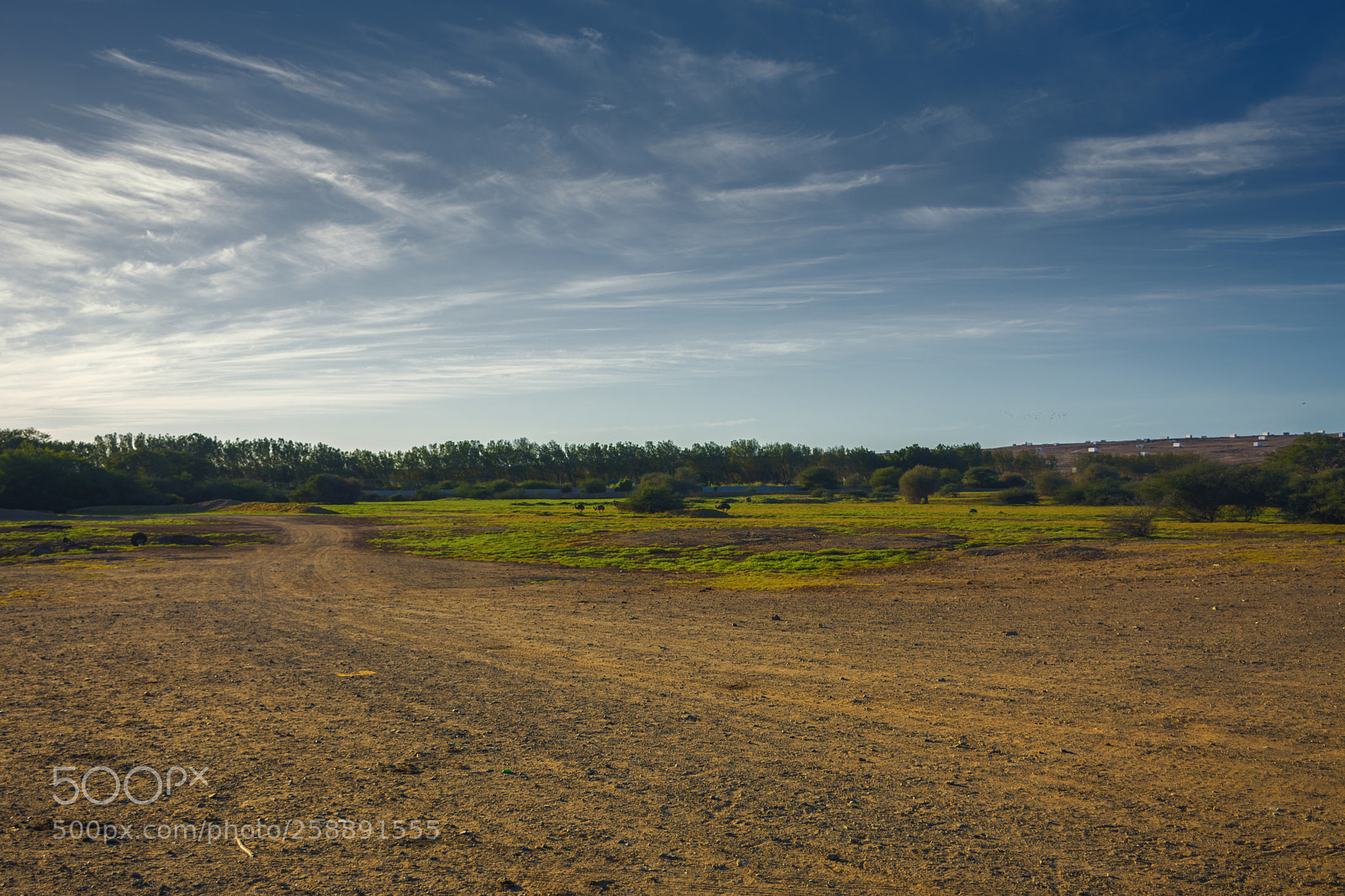 Nikon D7100 sample photo. Landscape photography